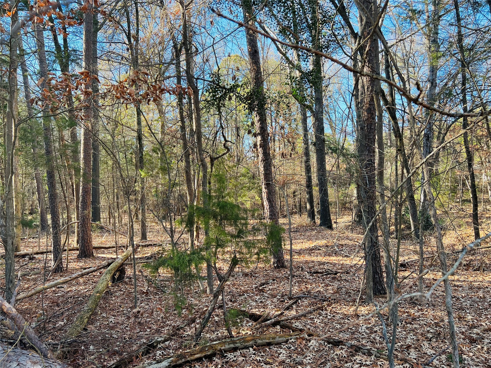 Lot 32 & 33 Winding Lane