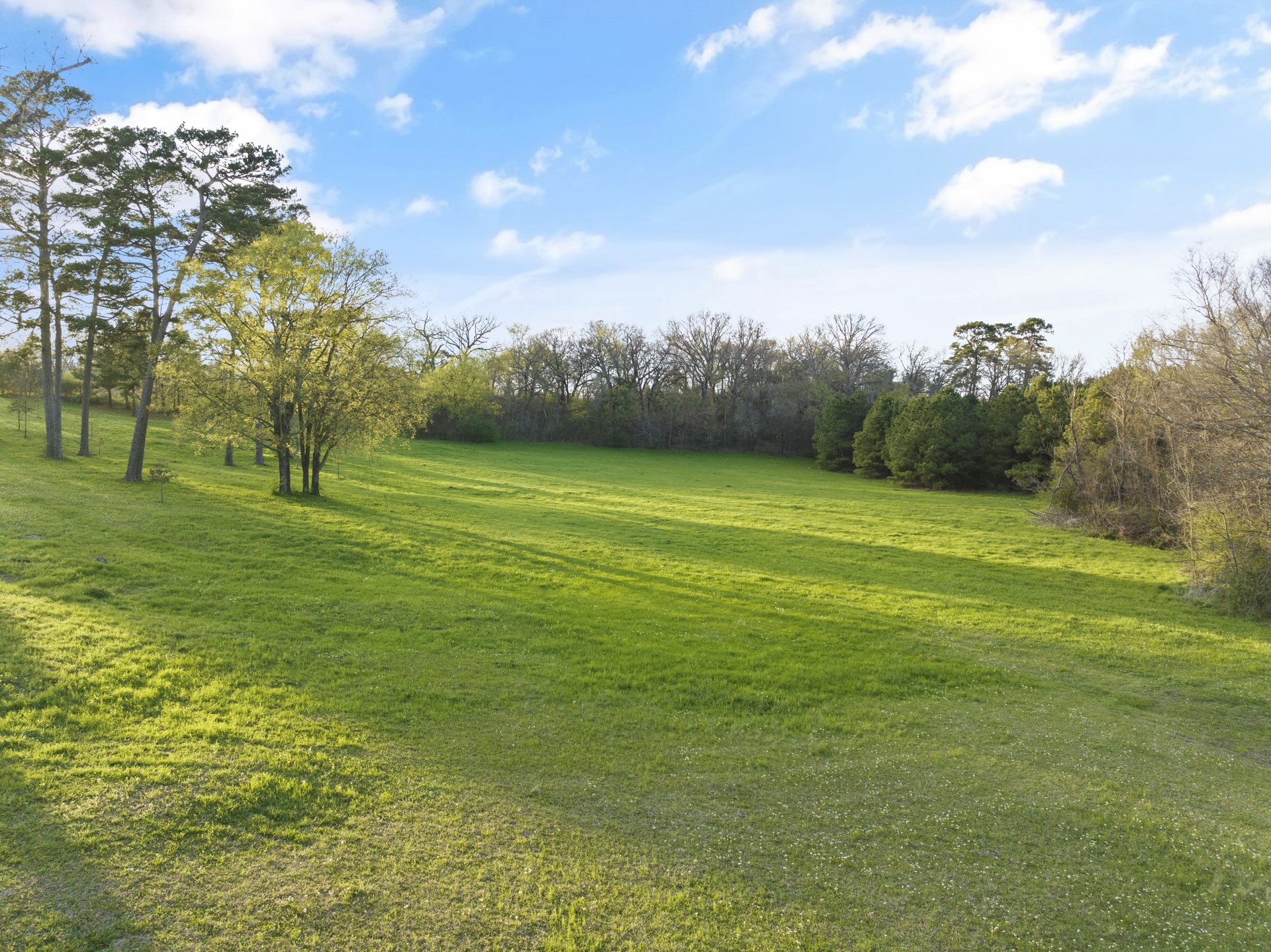 101 County Road 1233