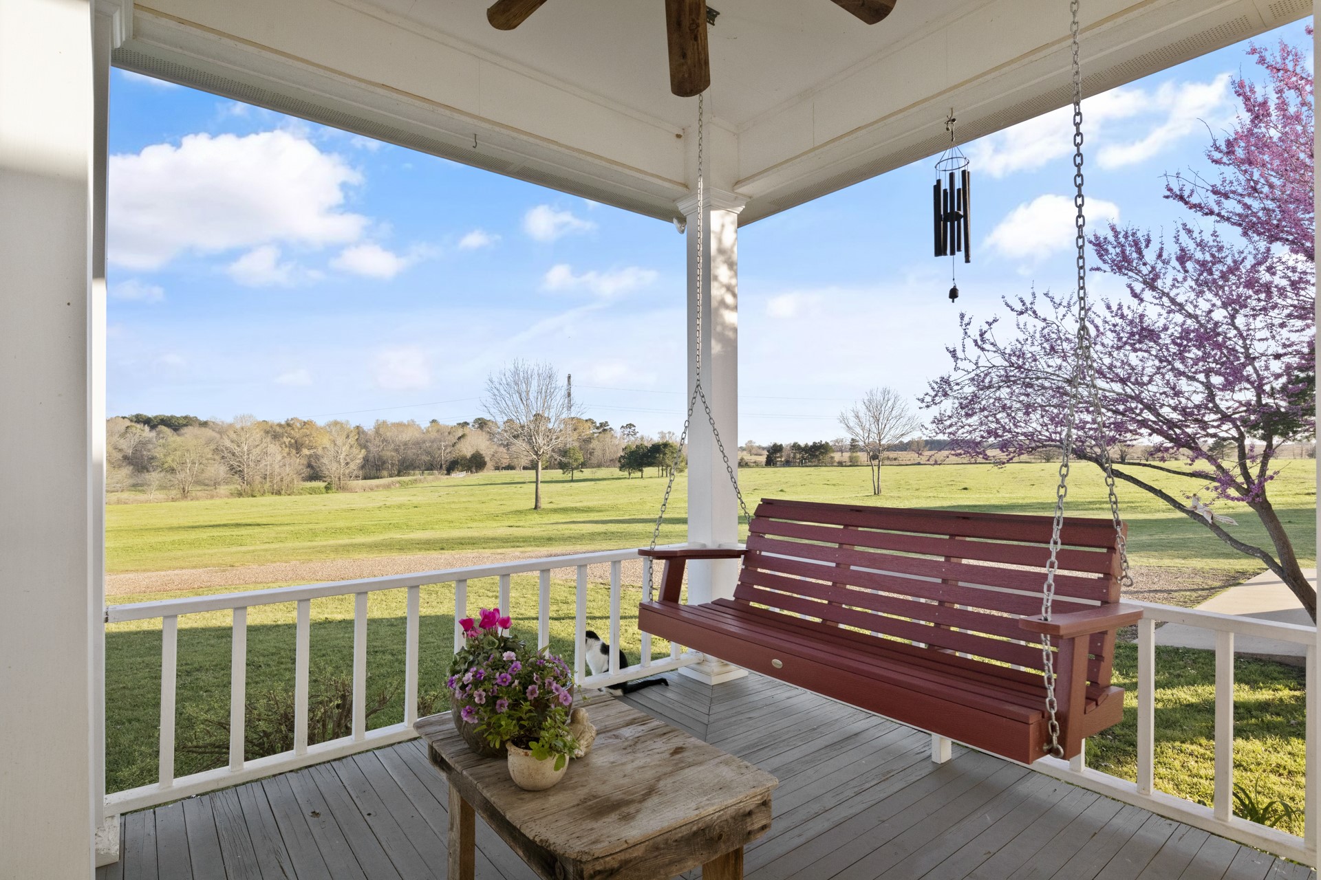 101 County Road 1233