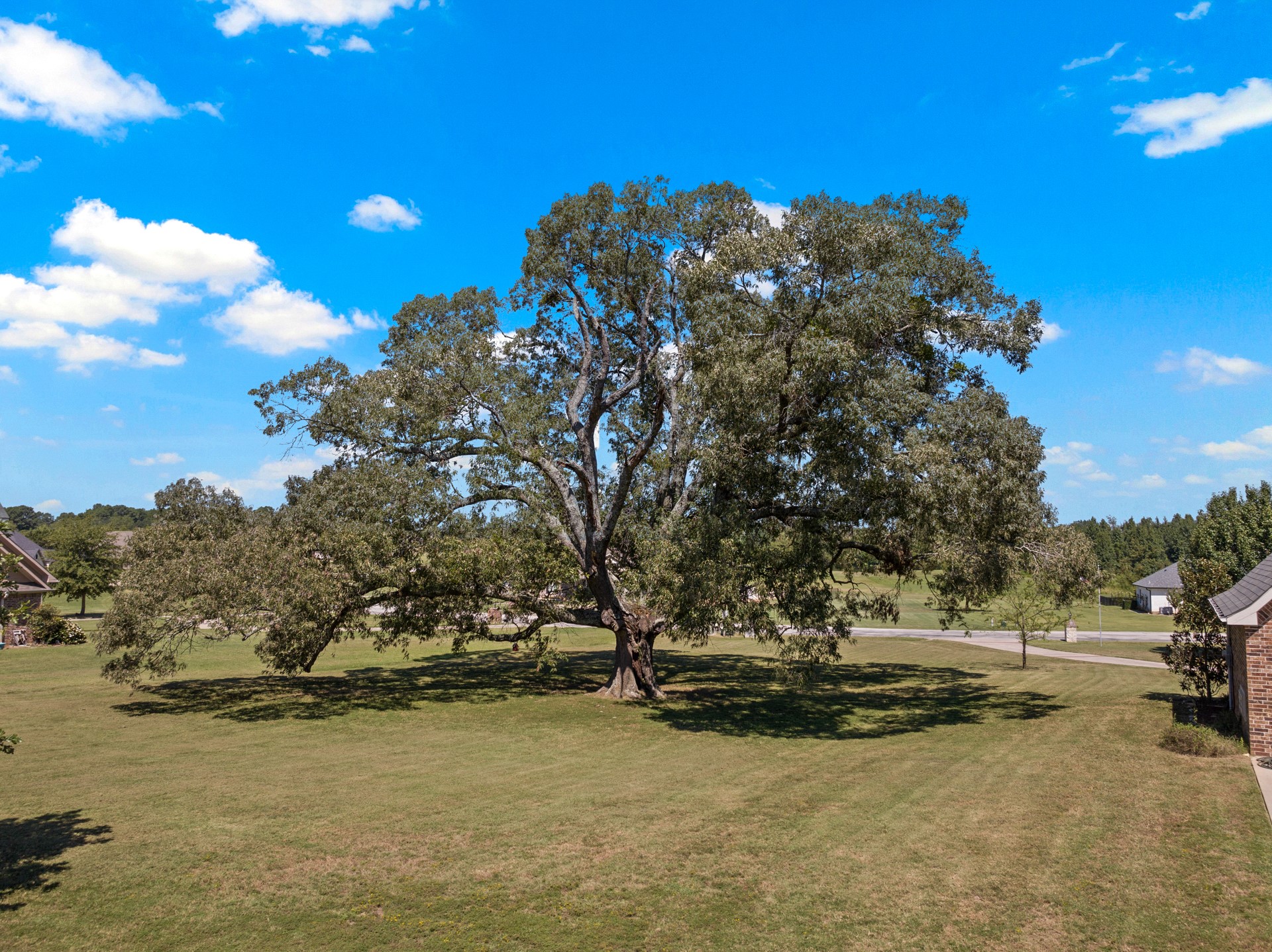 136 Private Road 54166