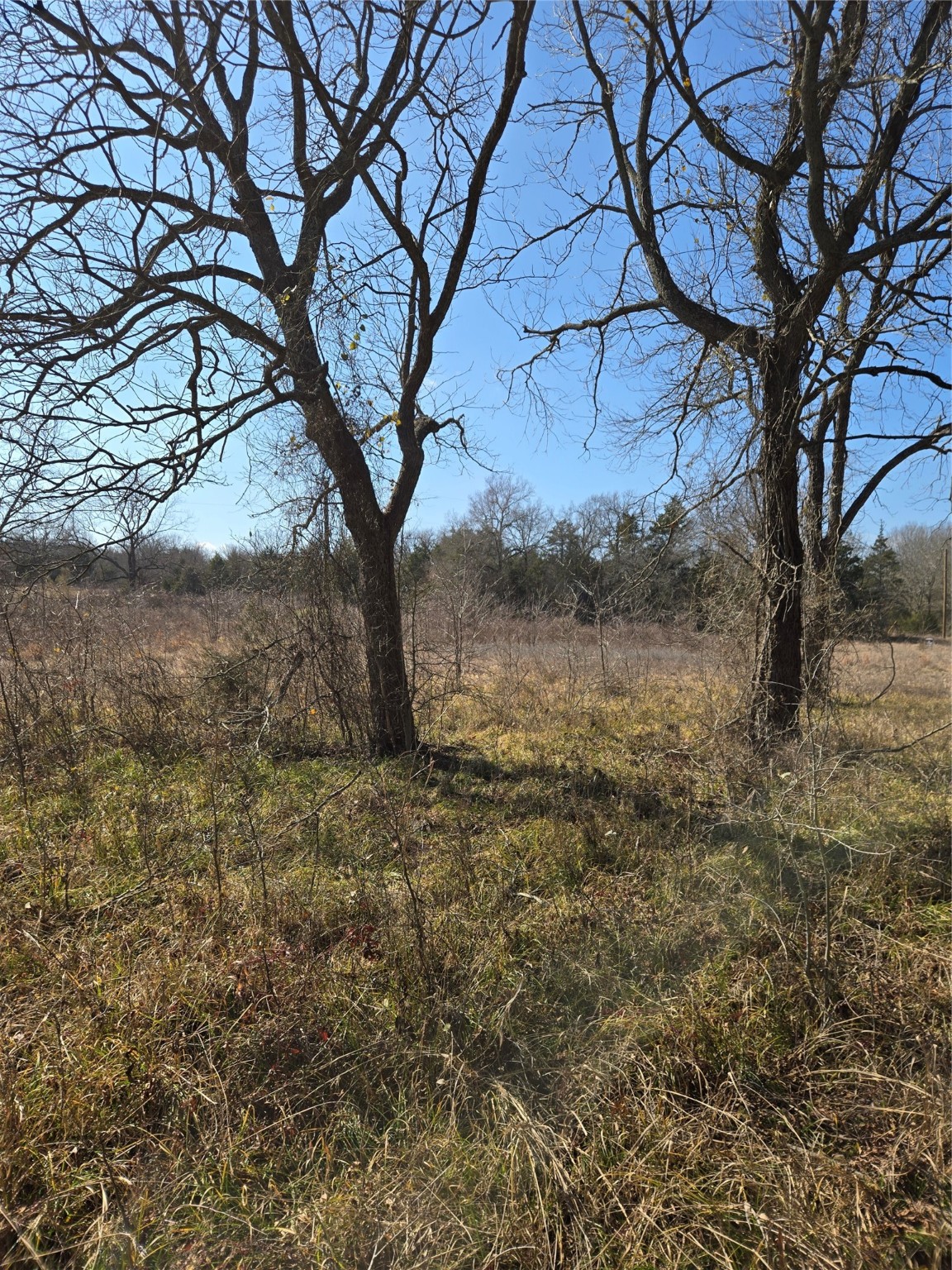 876 County Road 4612