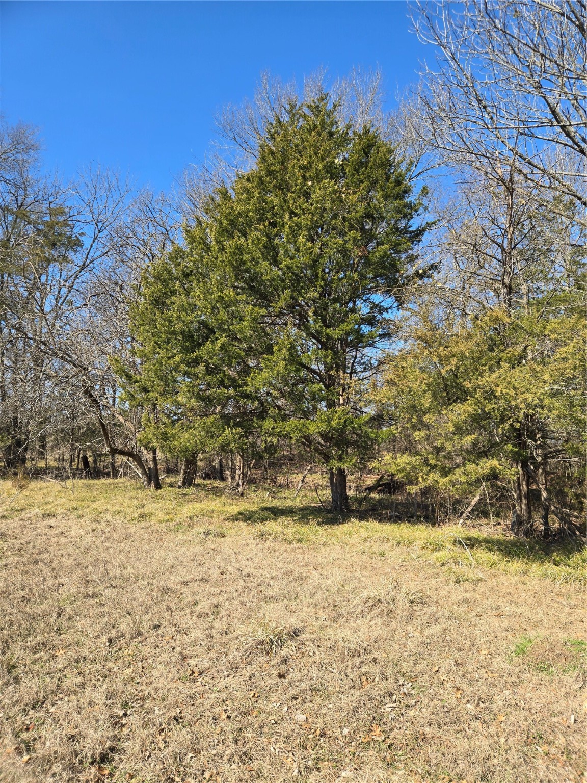 876 County Road 4612