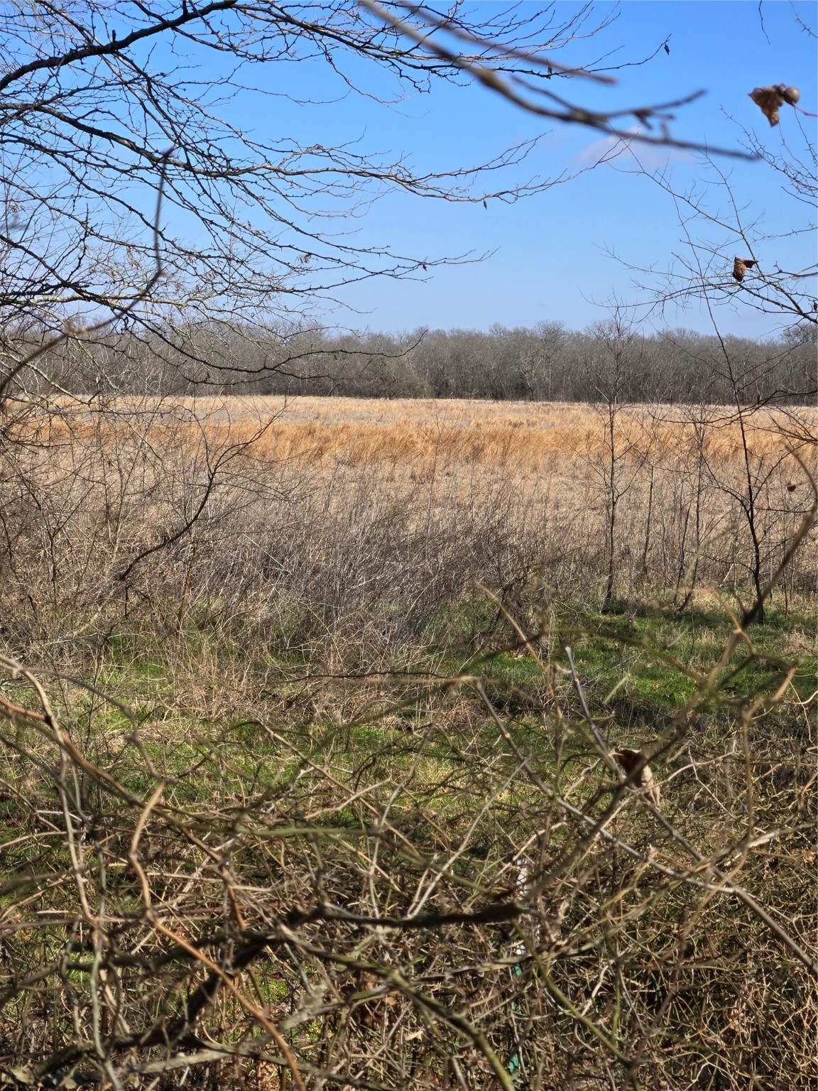 876 County Road 4612
