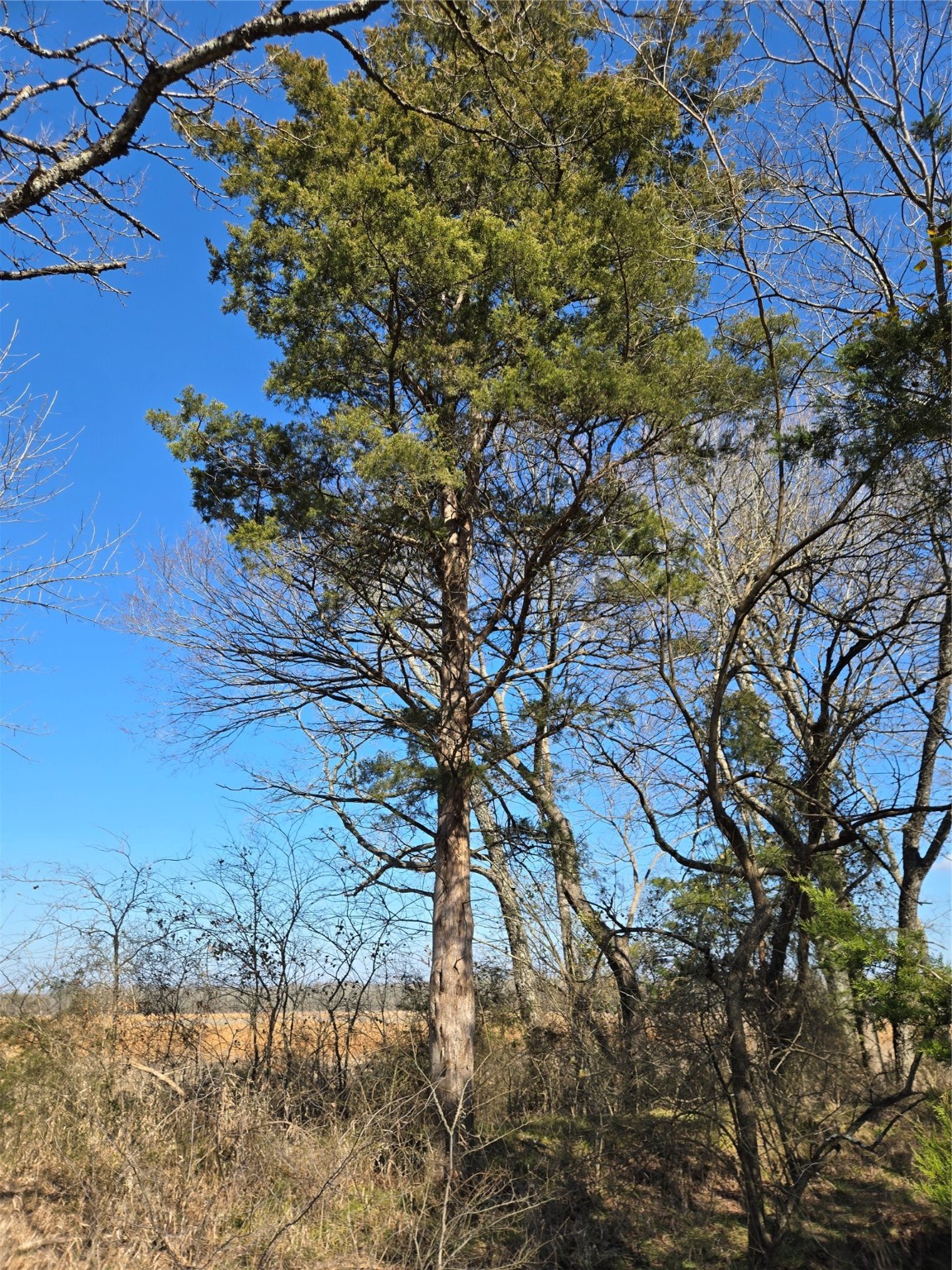 876 County Road 4612