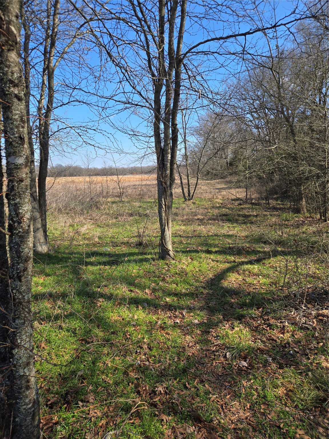 876 County Road 4612