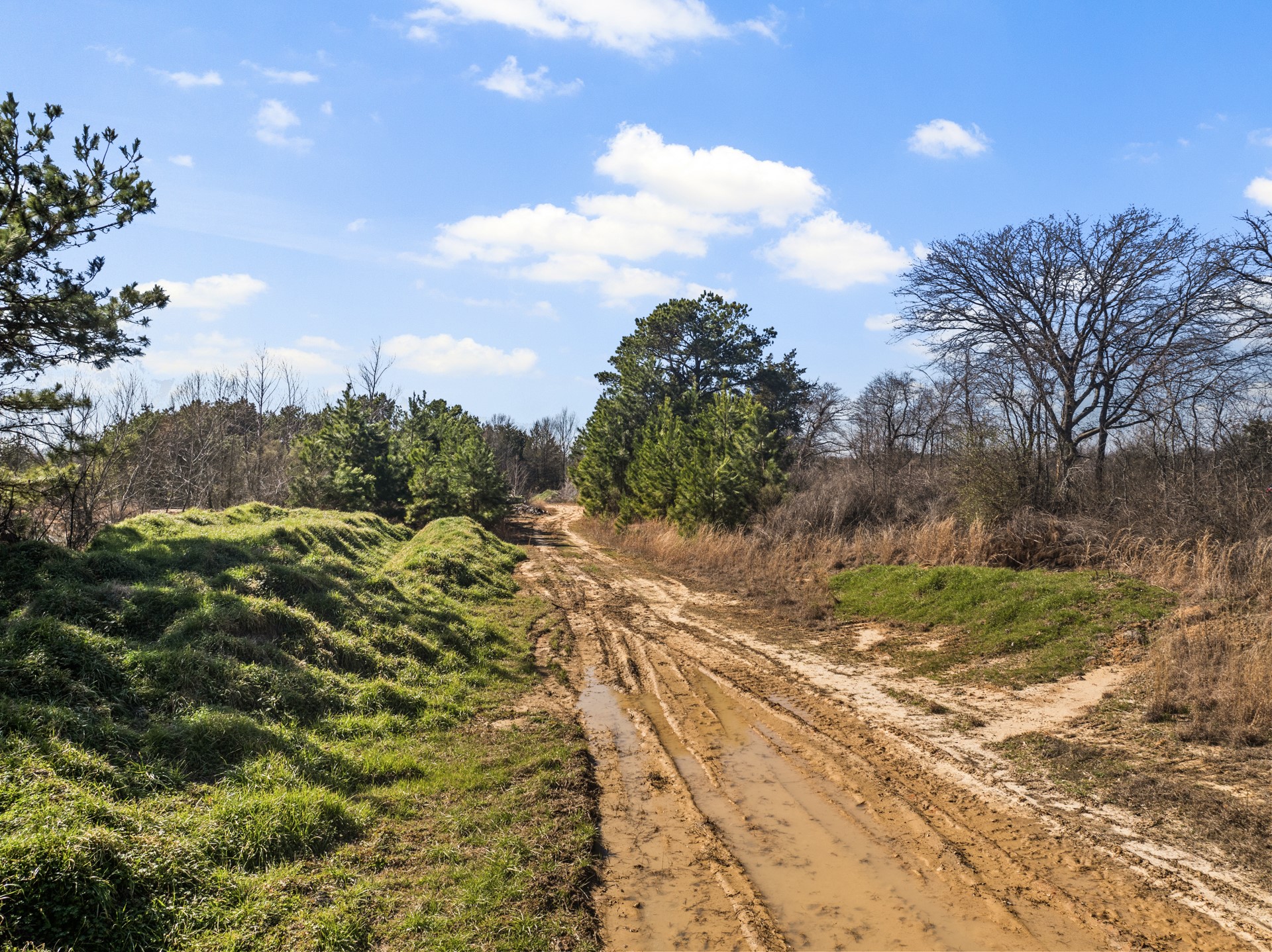 TBD FM 2152 & CR 1635