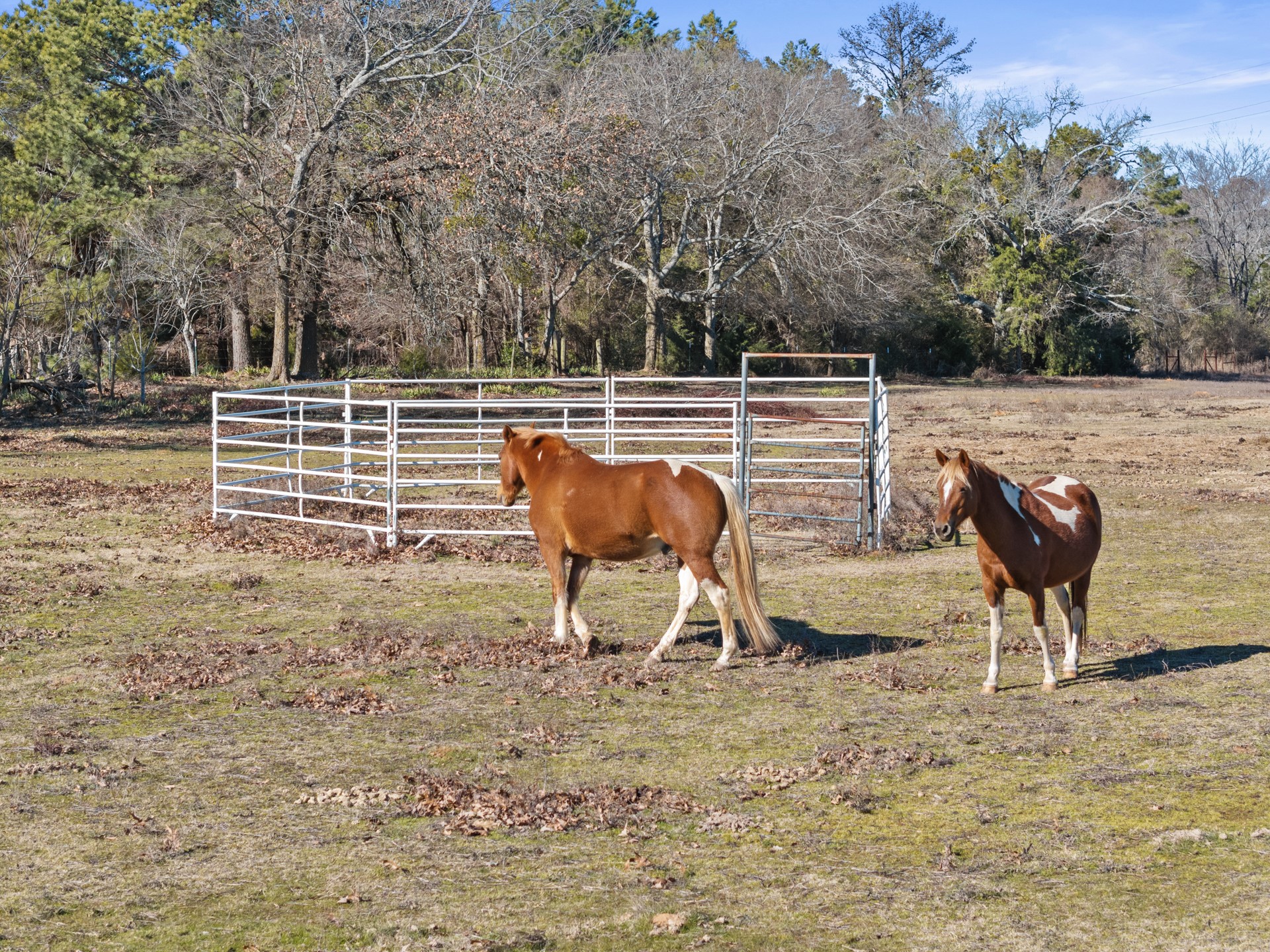 1135 COUNTY ROAD 2112