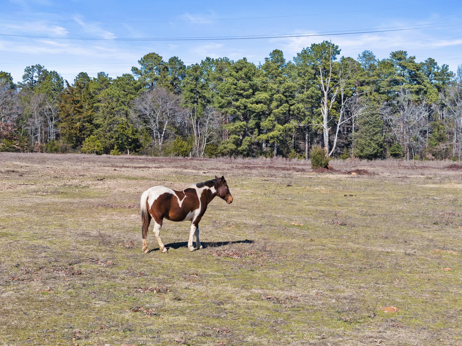 1135 COUNTY ROAD 2112