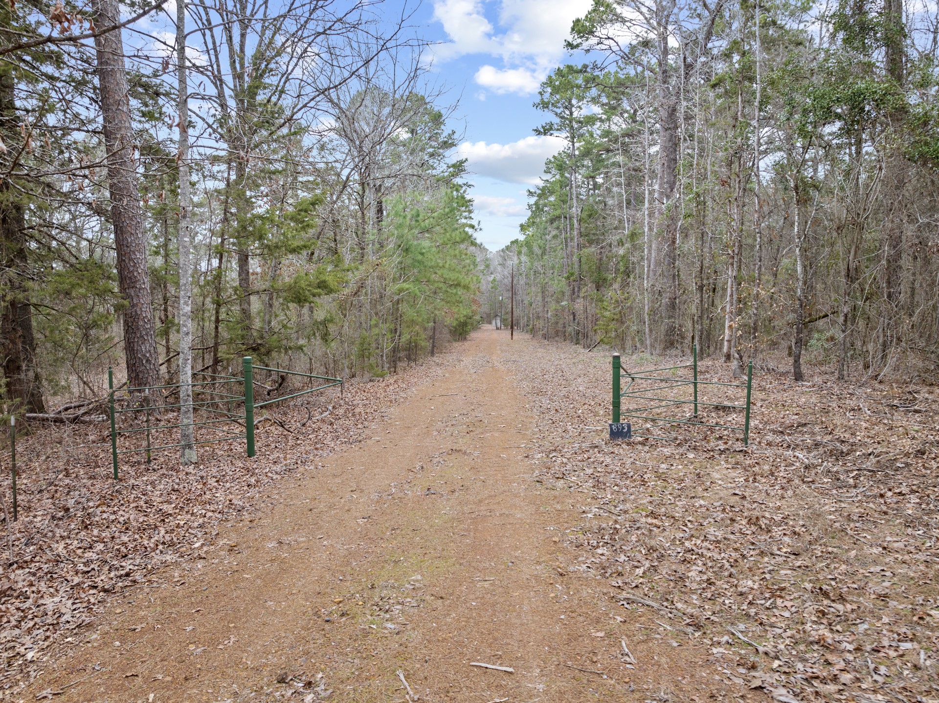 893 COUNTY ROAD 4112