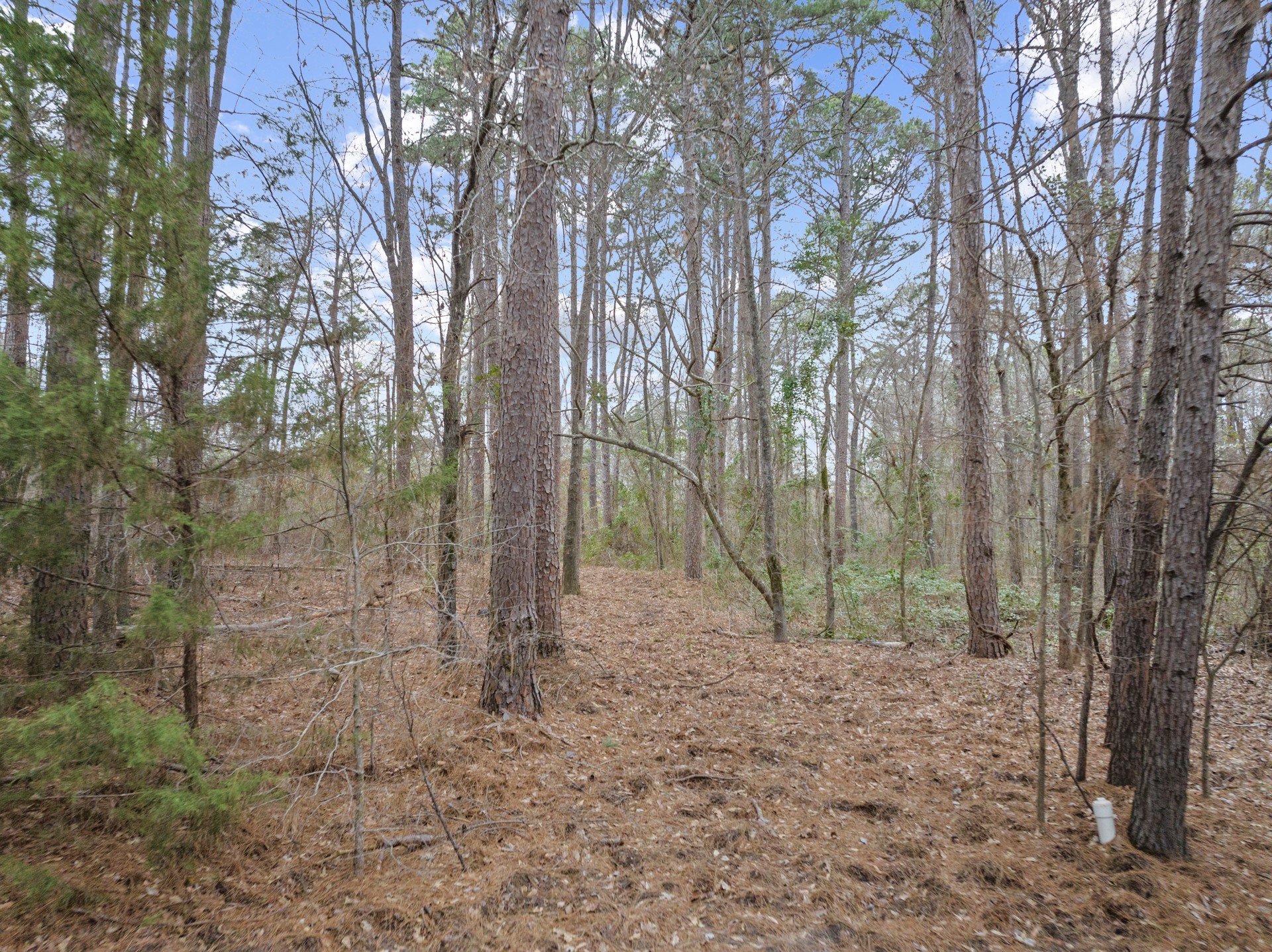 893 COUNTY ROAD 4112