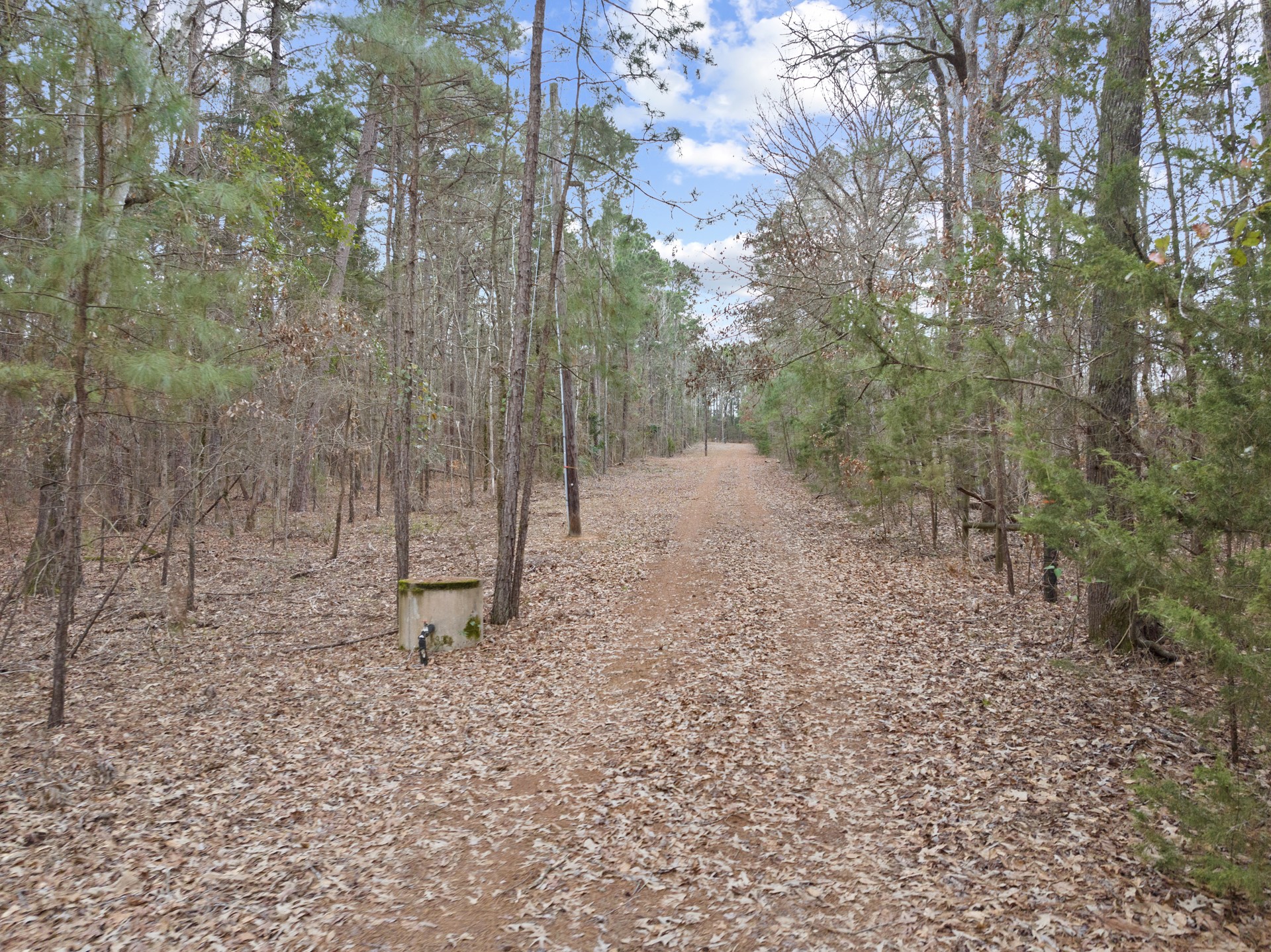 893 COUNTY ROAD 4112