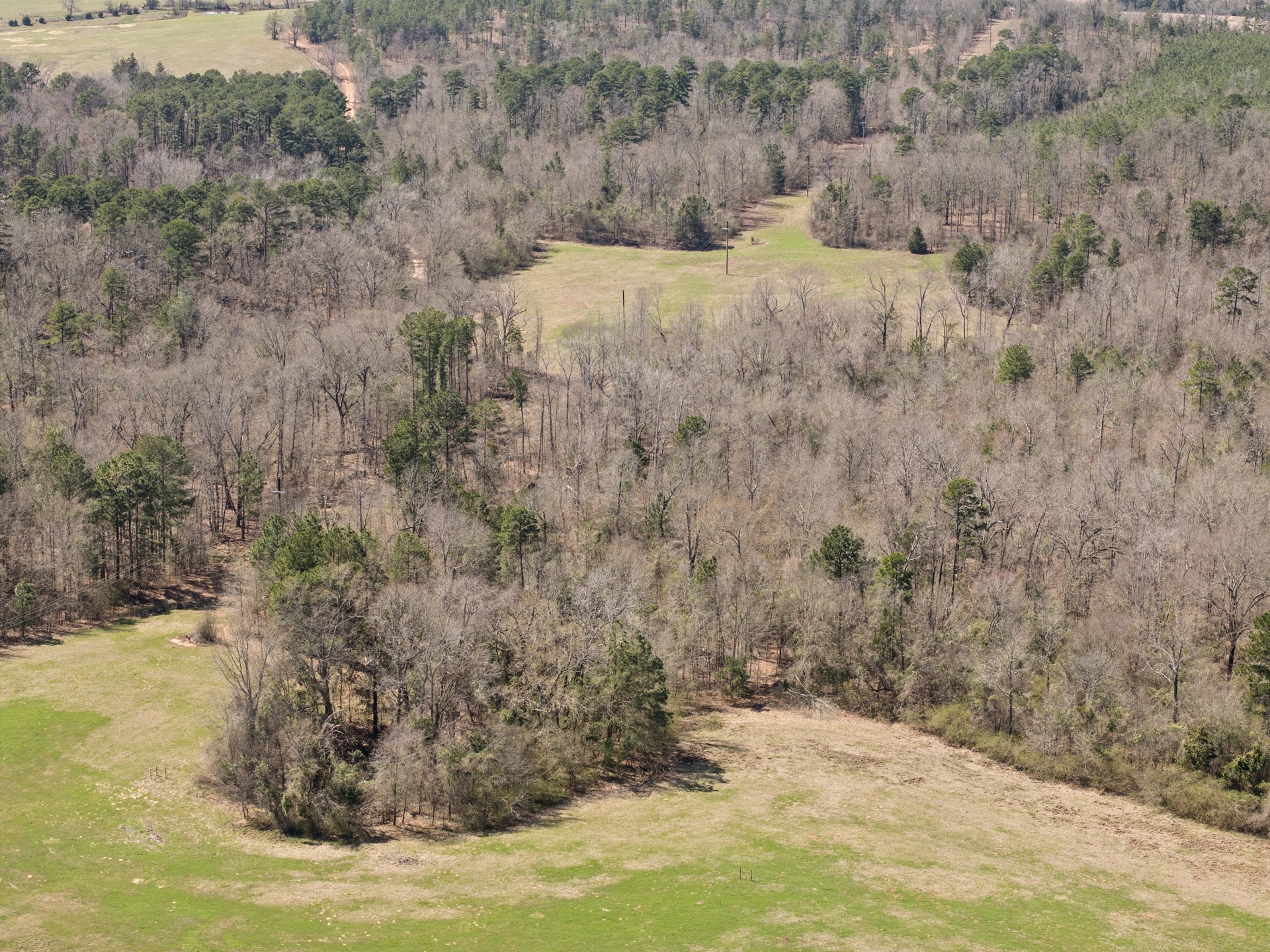 TBD County Road 2737