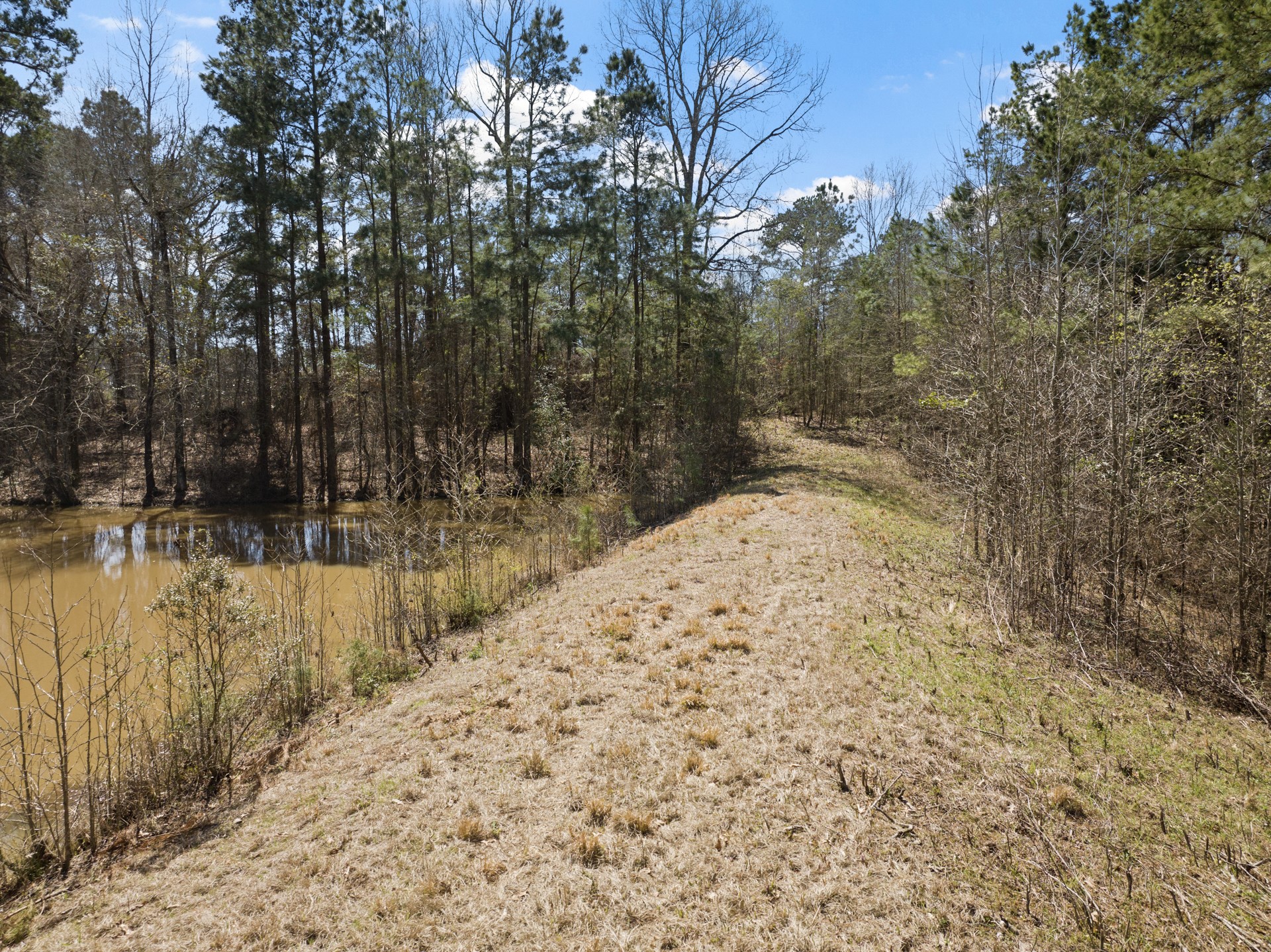 TBD County Road 2737