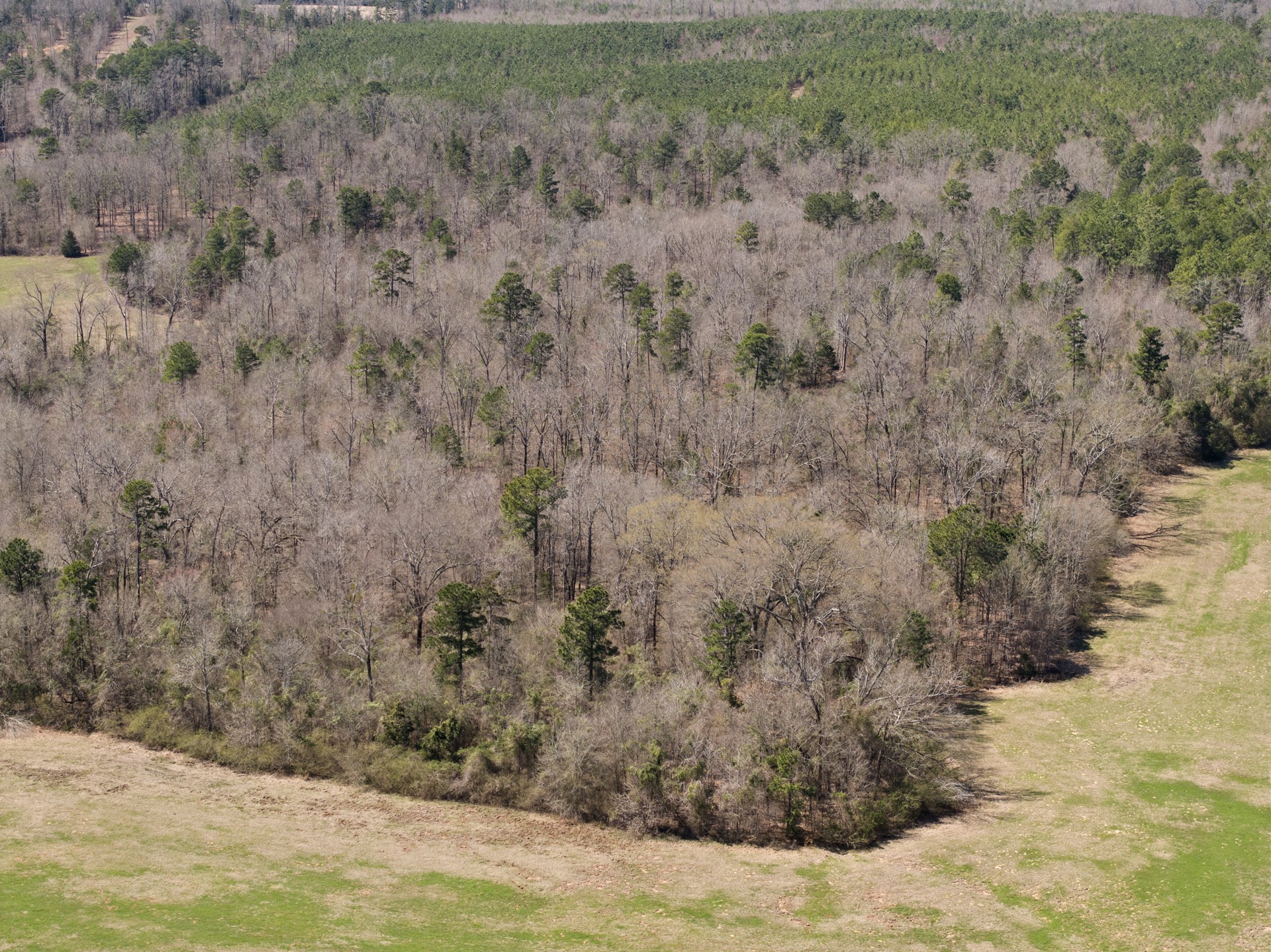 TBD County Road 2737