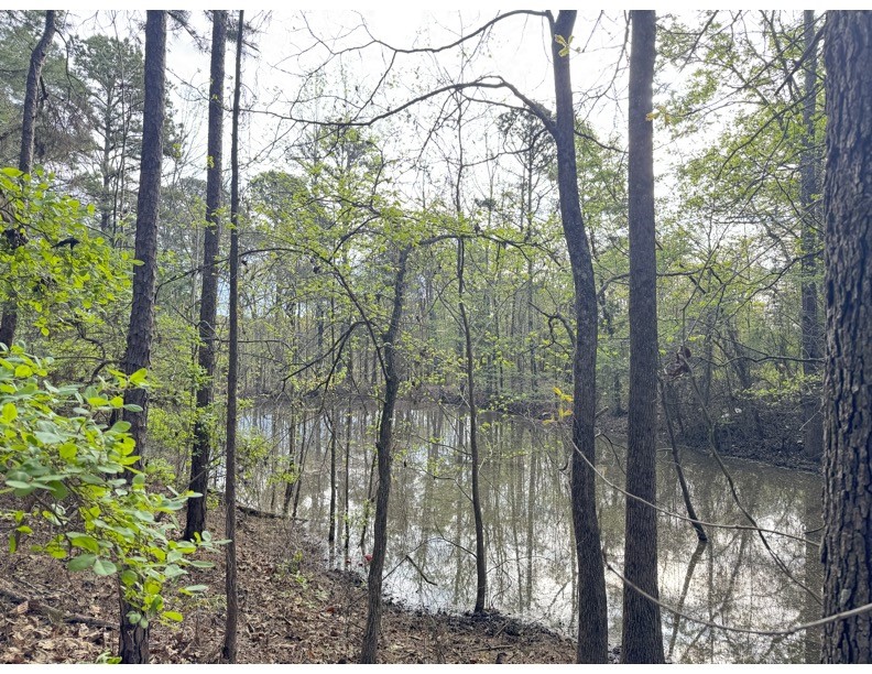 TBD Bobwhite Road