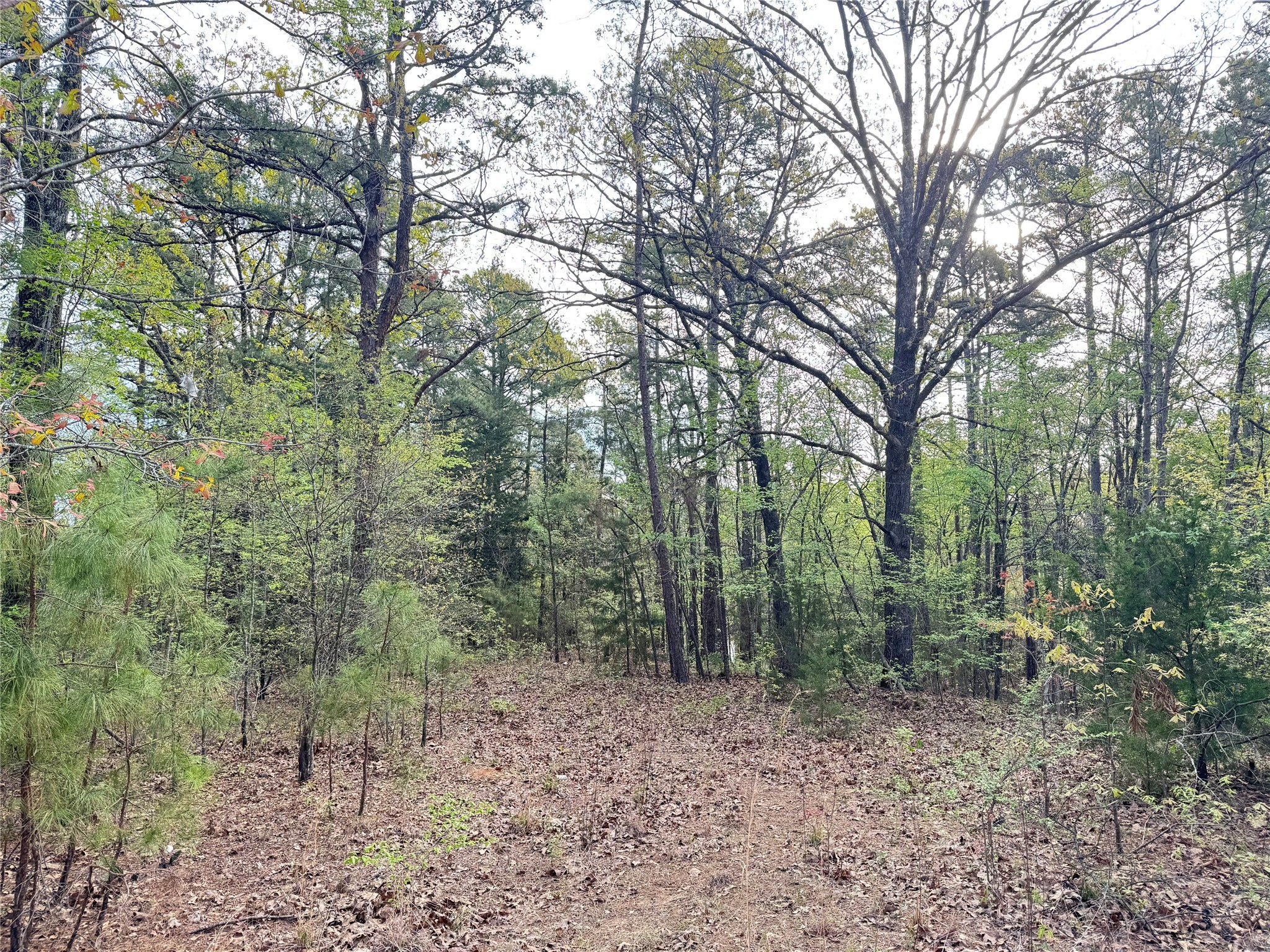 TBD Bobwhite Road