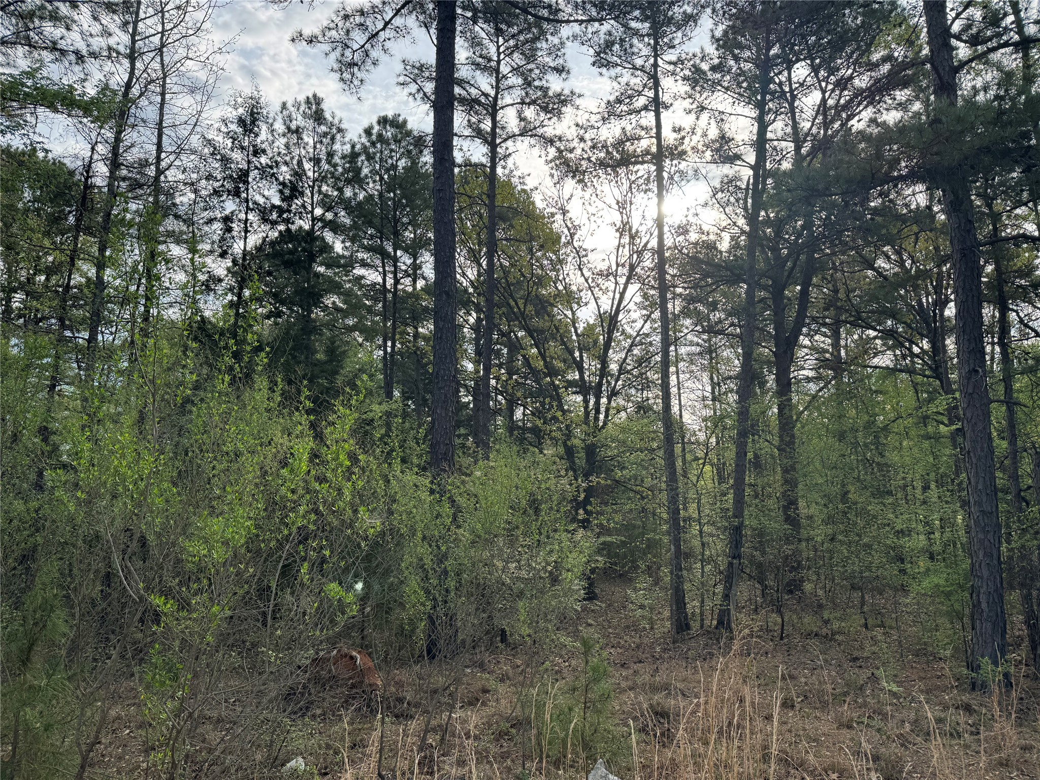 TBD Bobwhite Road