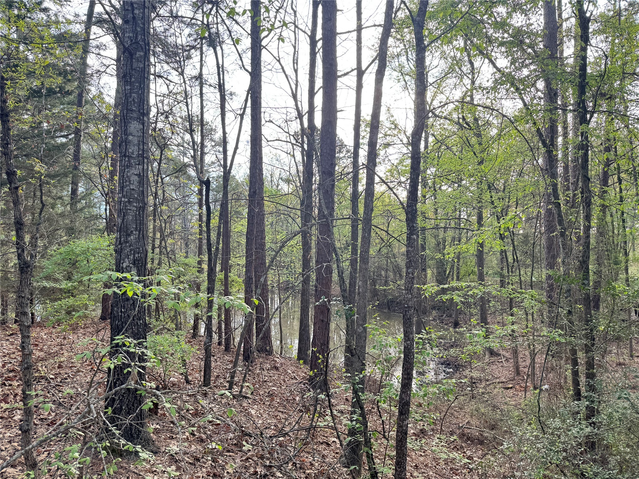 TBD Bobwhite Road