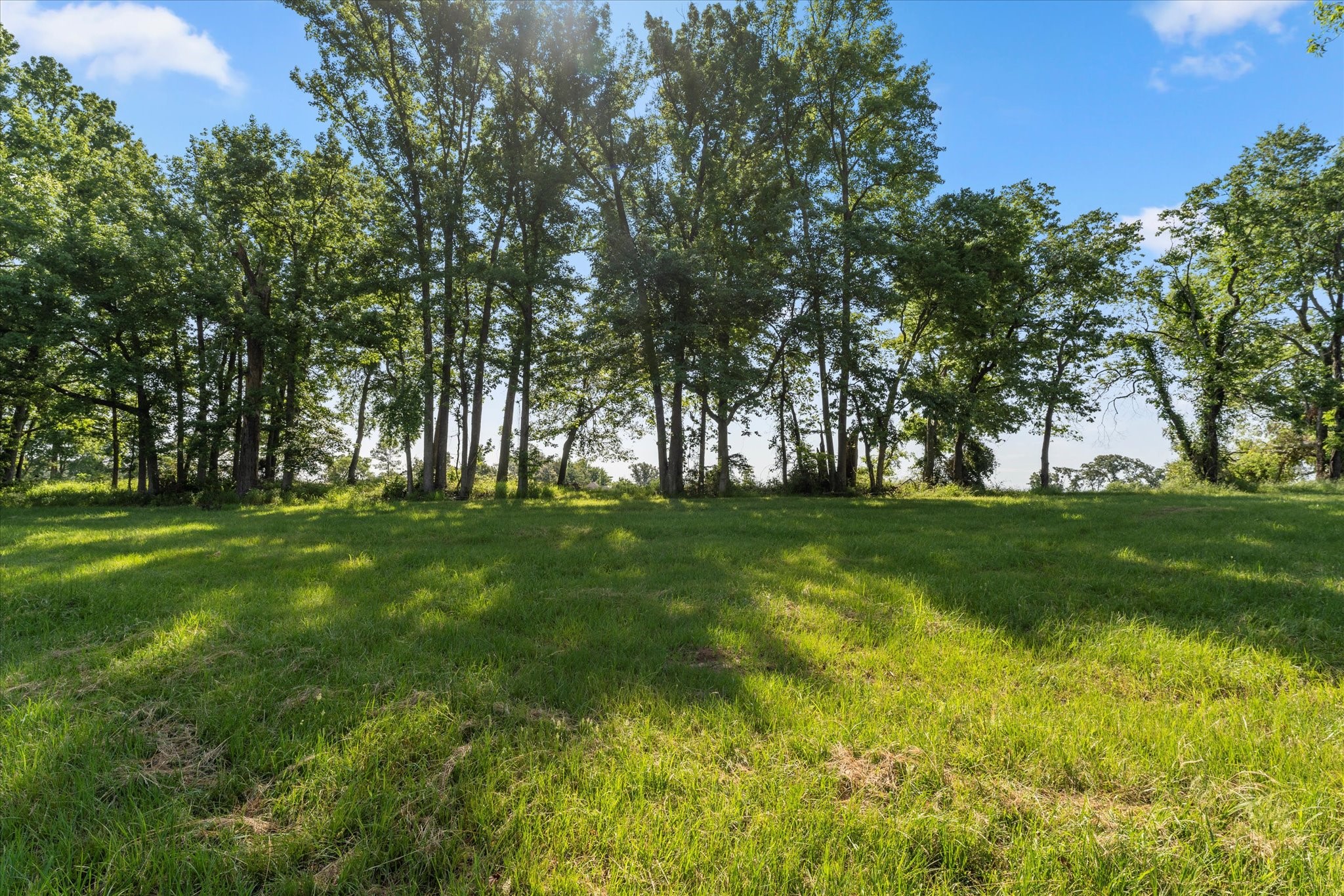Lot 88 PR 2712