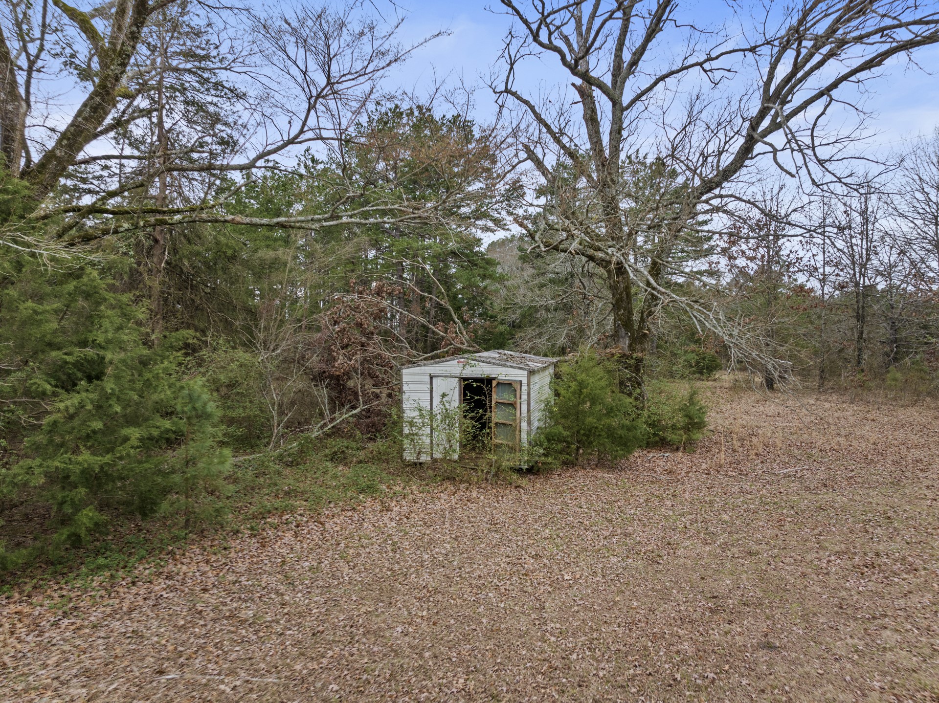 27967 Texas Highway 77 W