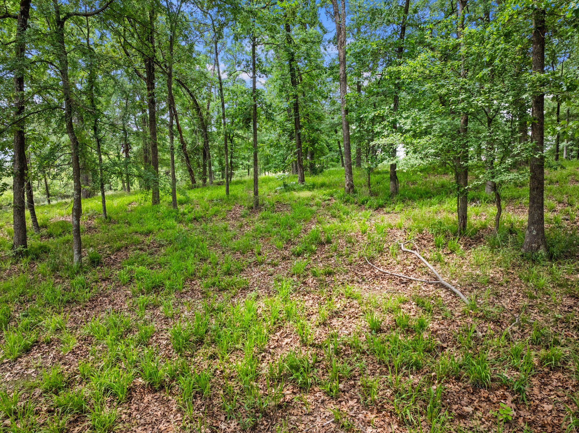 Lot 77 PR 2712