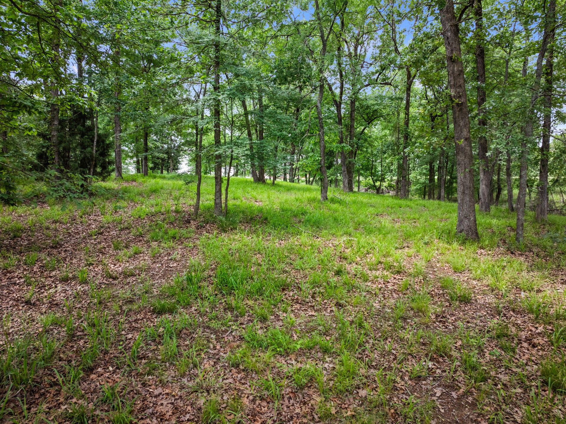Lot 77 PR 2712