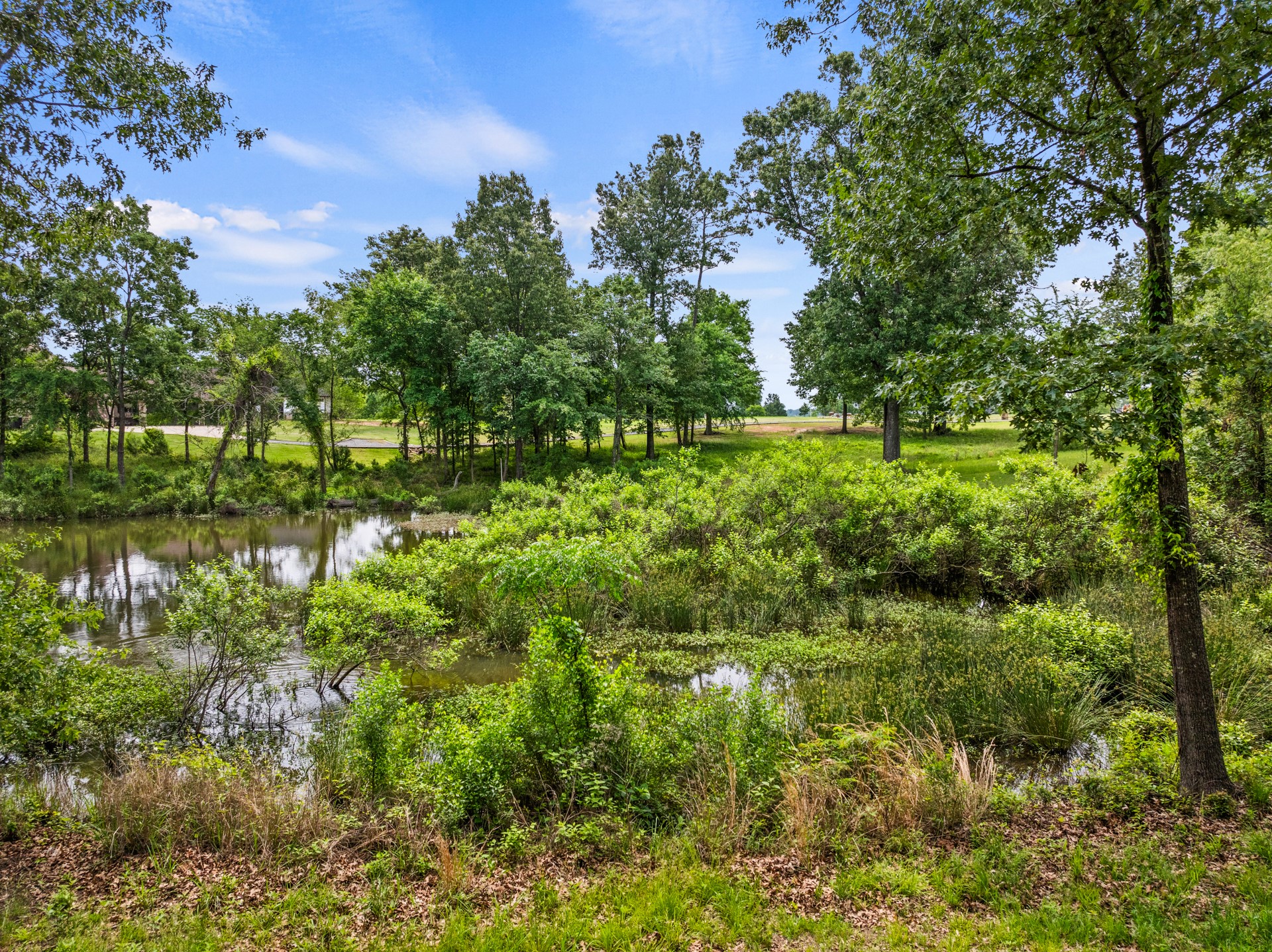Lot 77 PR 2712