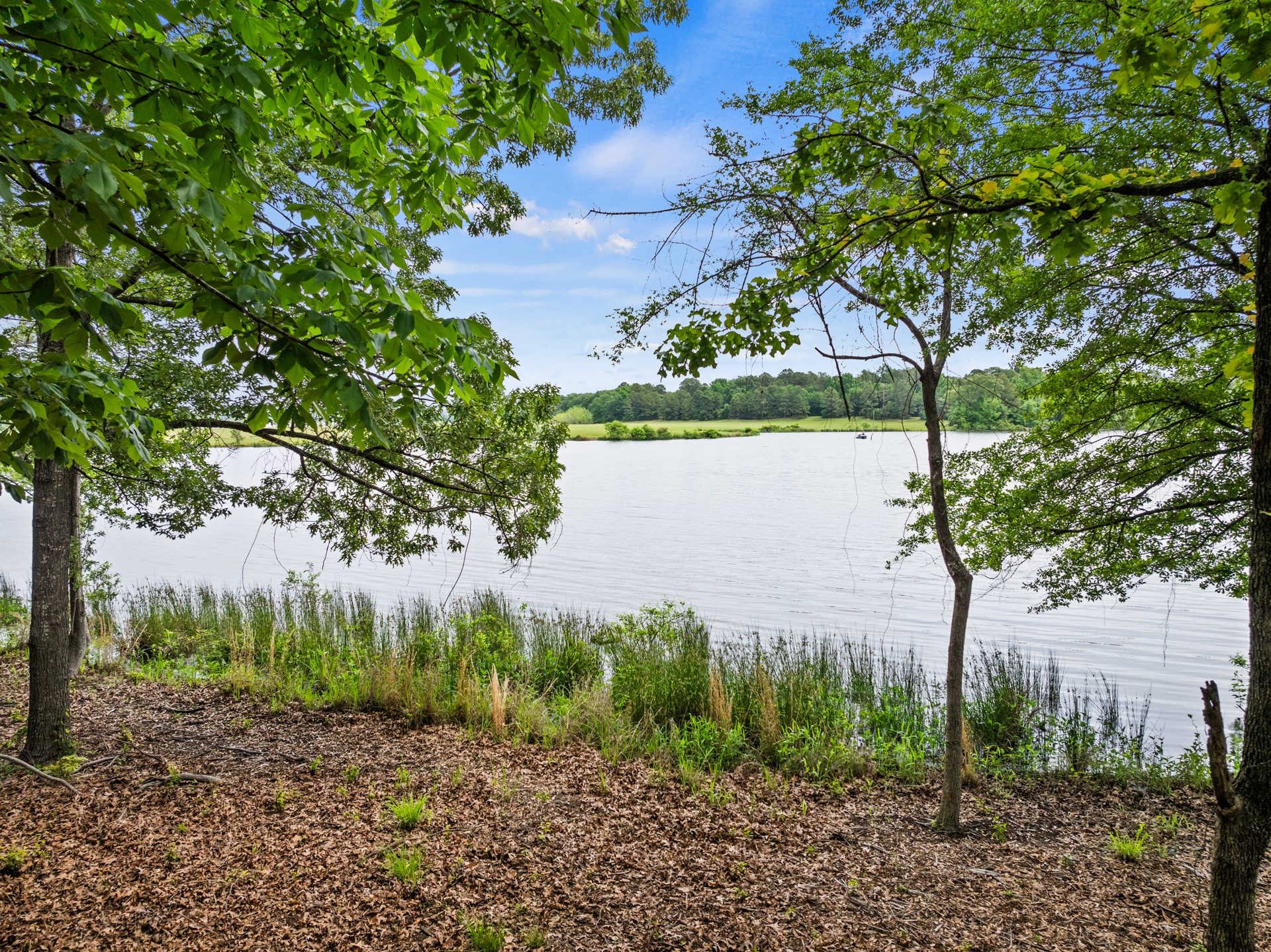 Lot 77 PR 2712