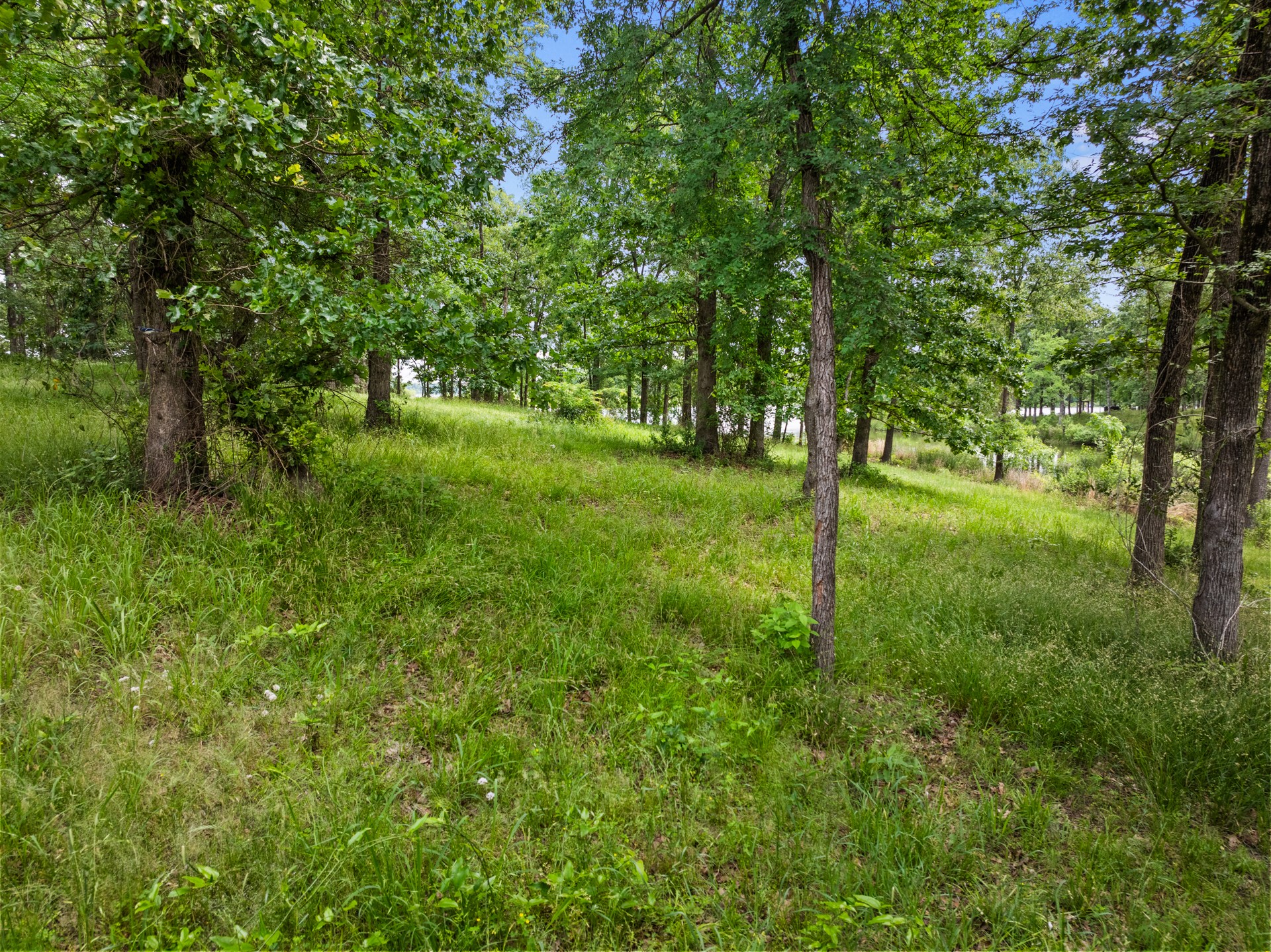 Lot 77 PR 2712