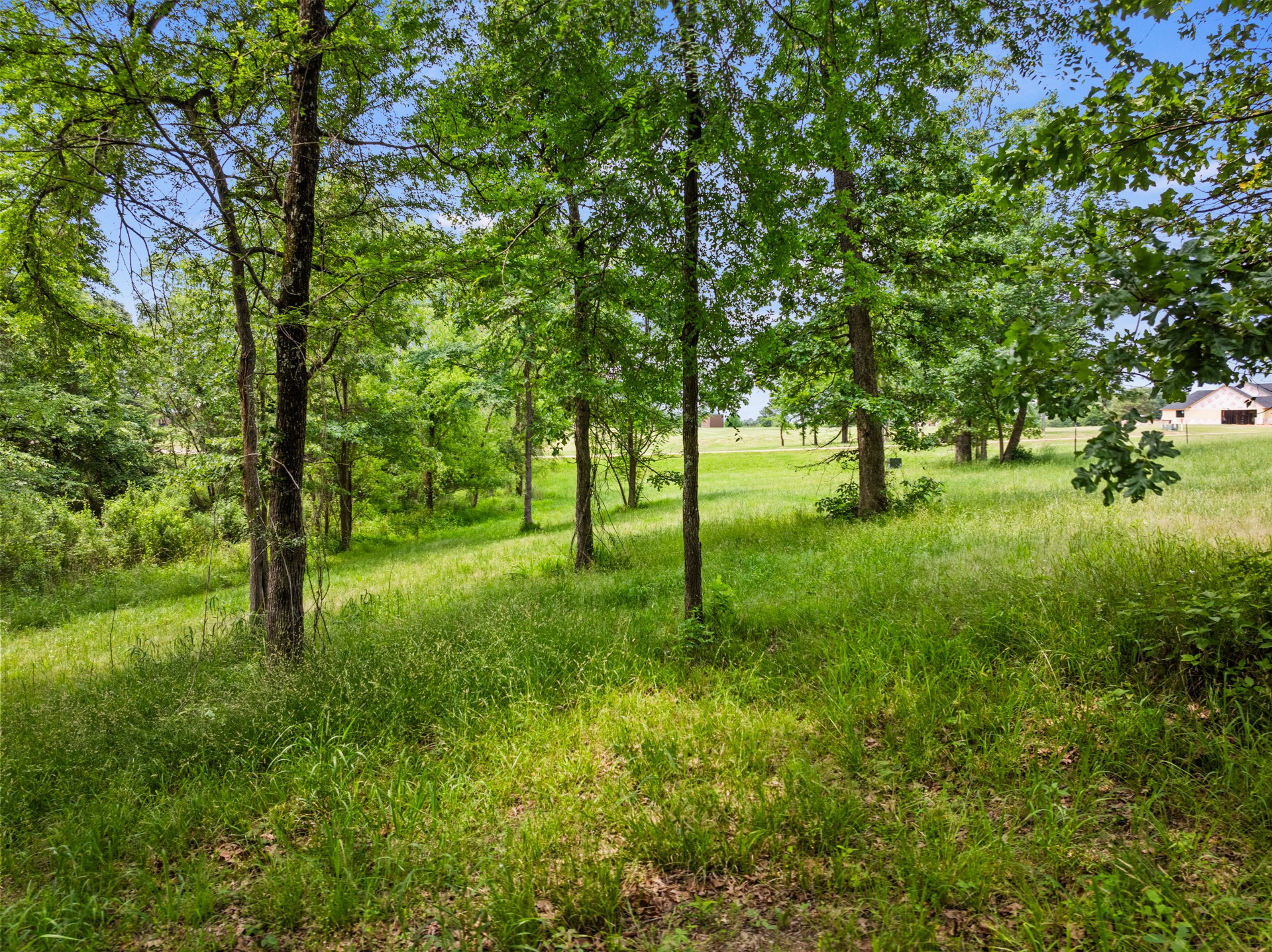 Lot 77 PR 2712