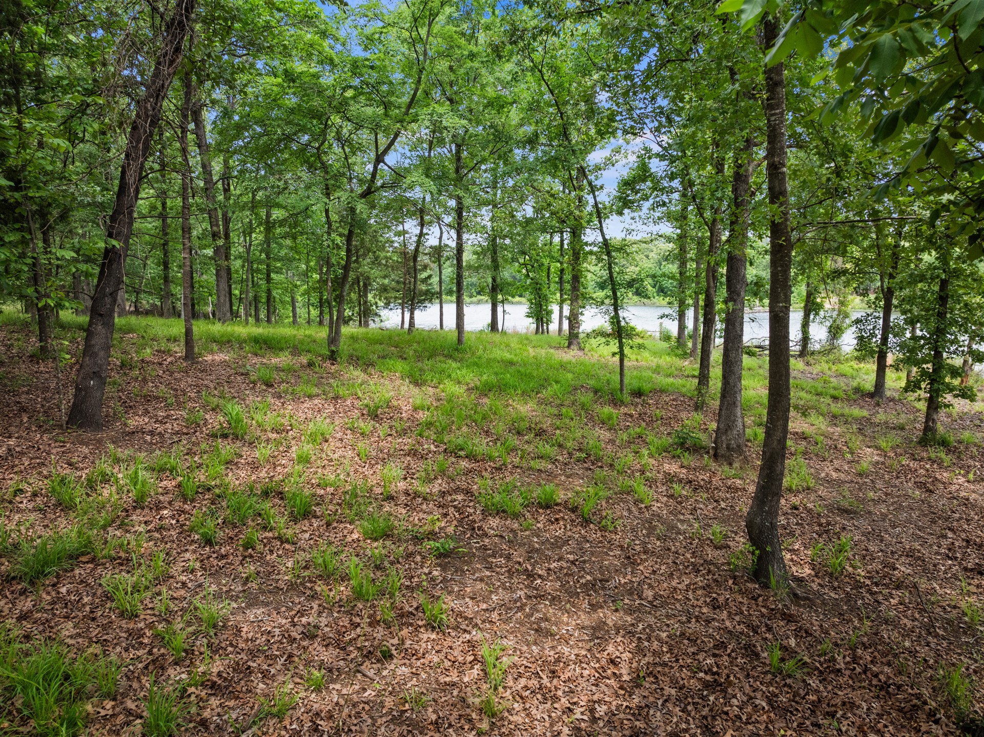 Lot 77 PR 2712