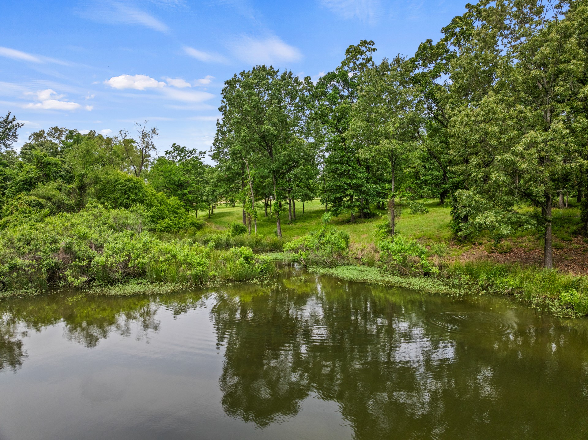 Lot 77 PR 2712
