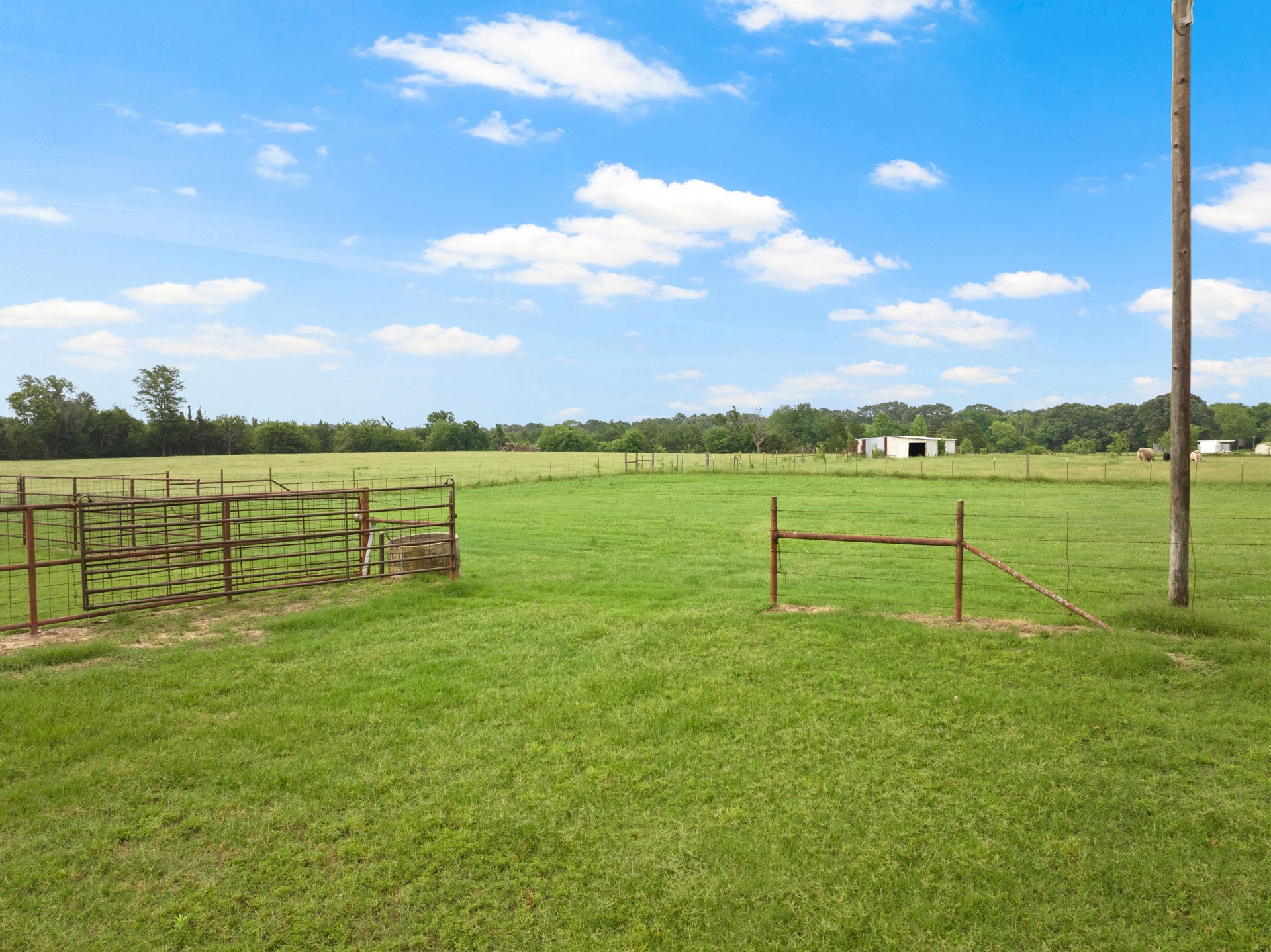 341 County Road 2510