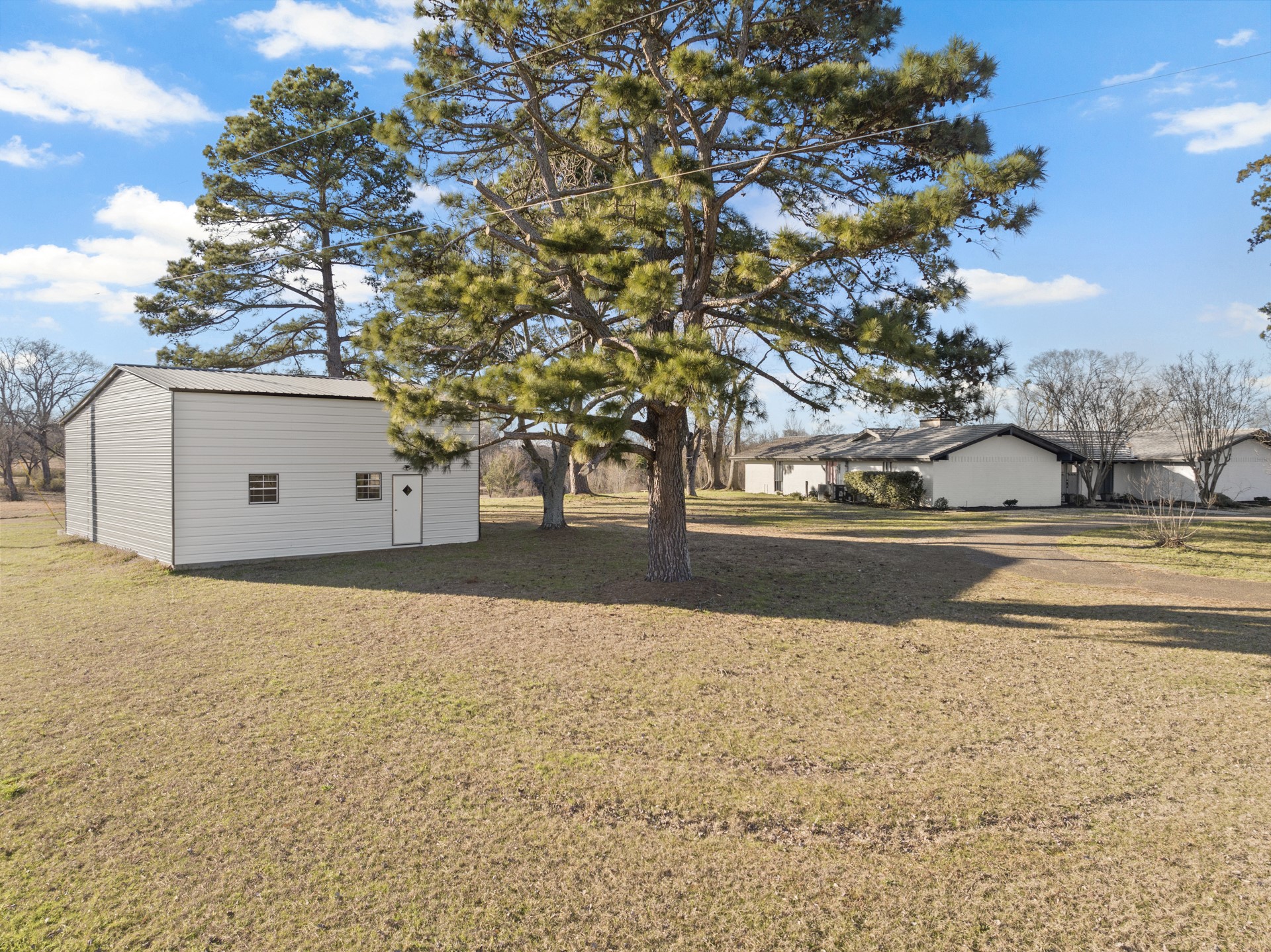 339 County Road 4315