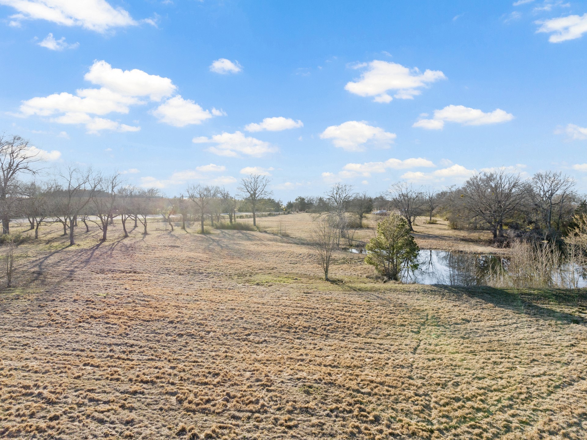 339 County Road 4315
