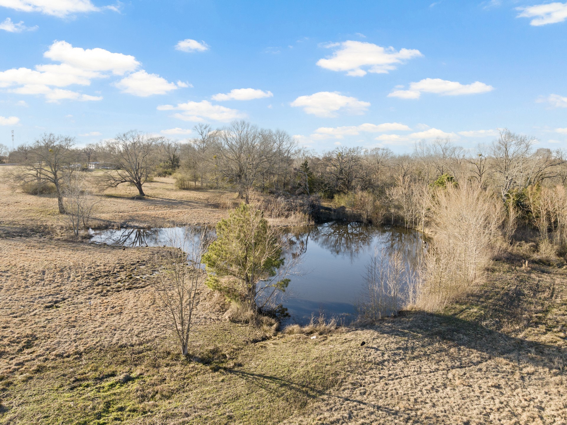 339 County Road 4315