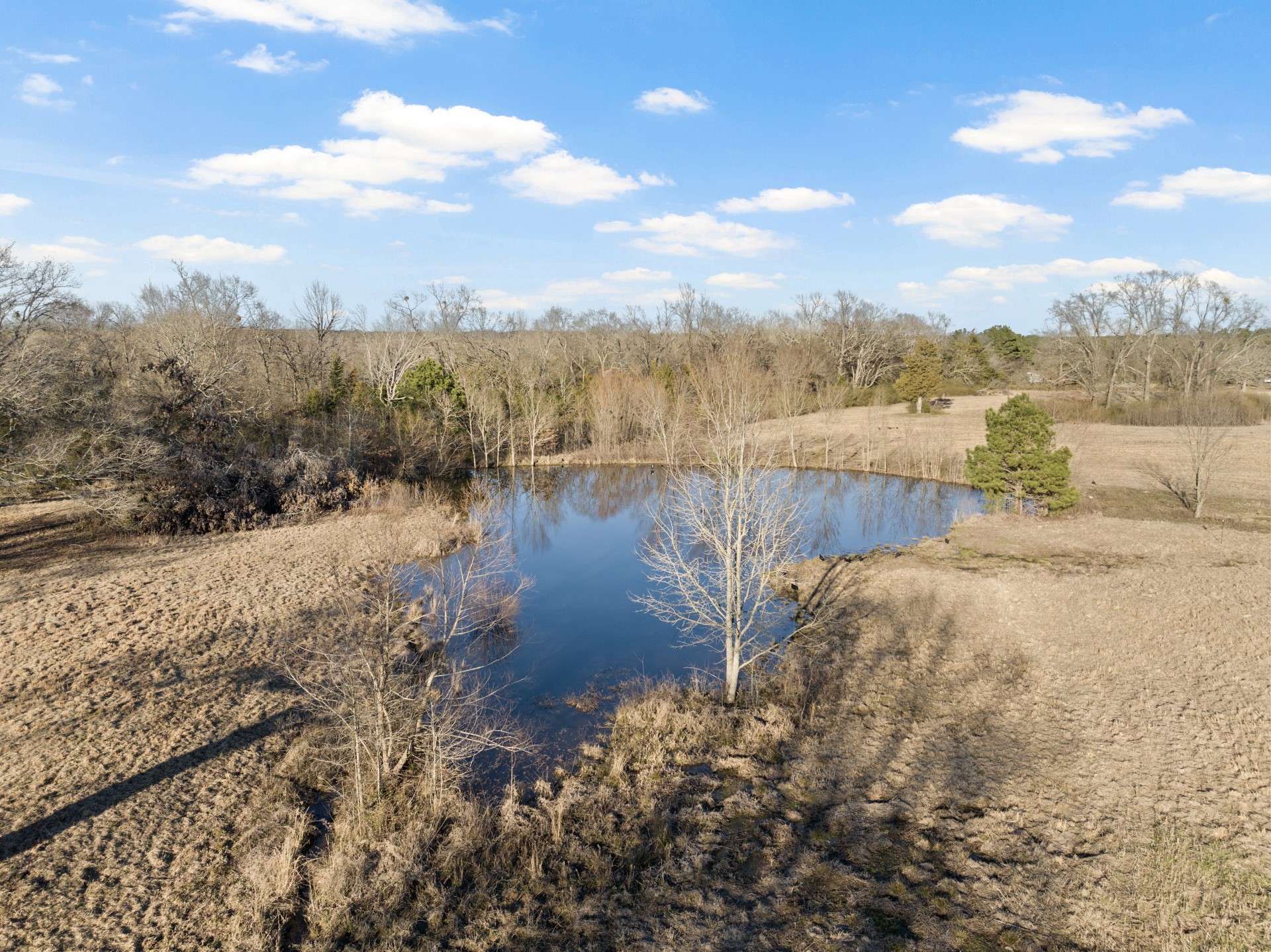 339 County Road 4315