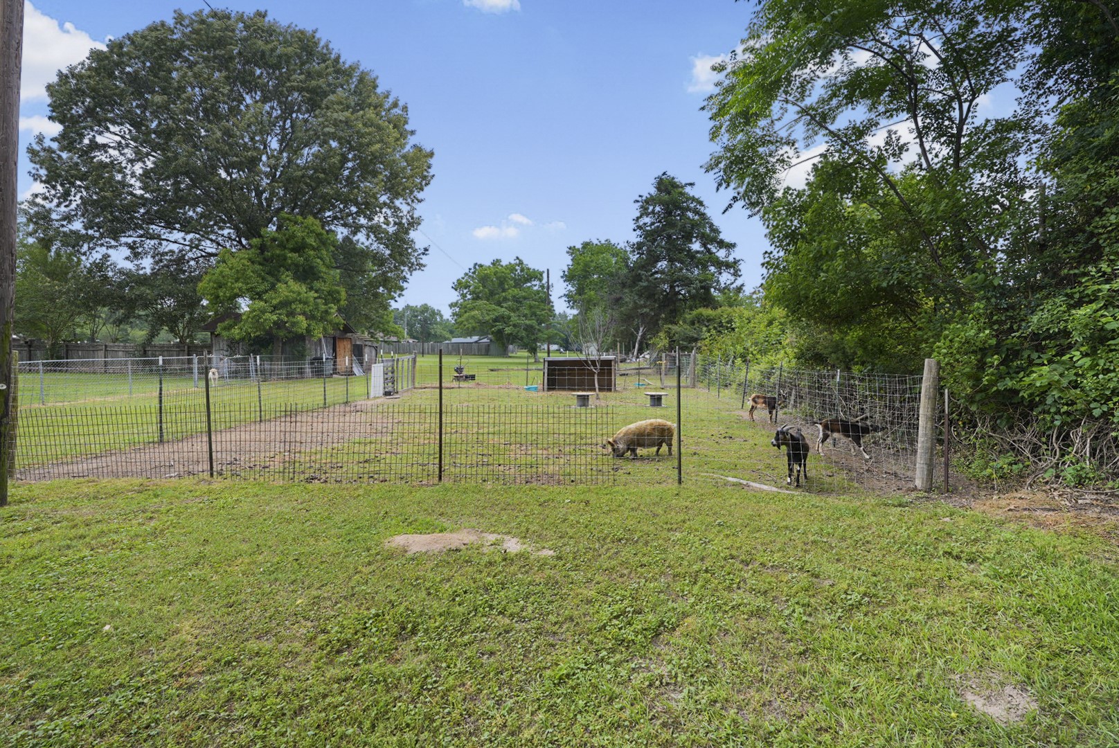 1045 County Road 3210