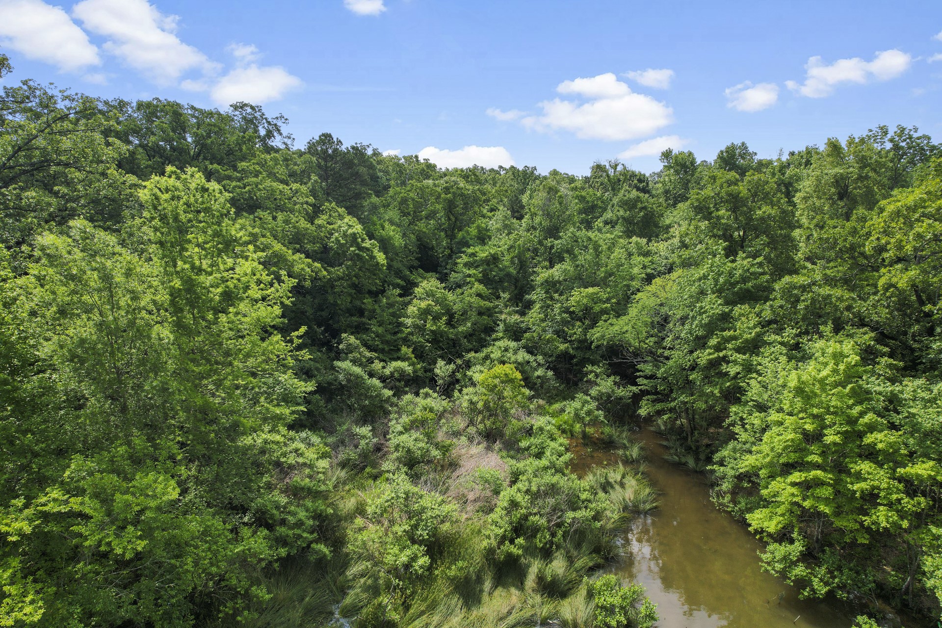TBD County Road 2337