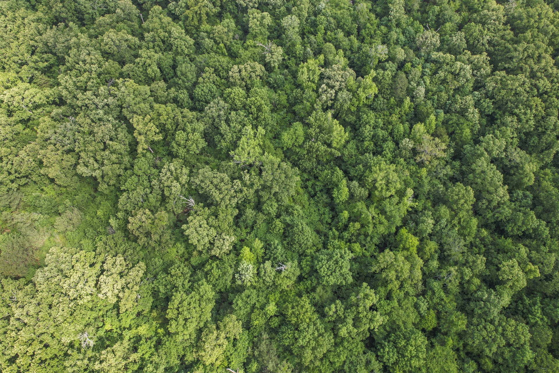 TBD County Road 2337