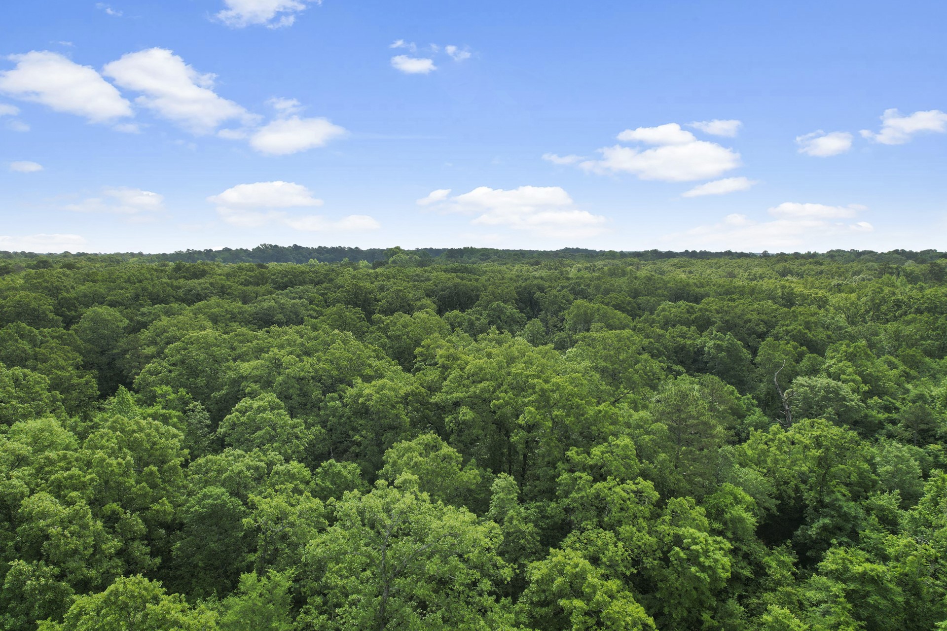 TBD County Road 2337