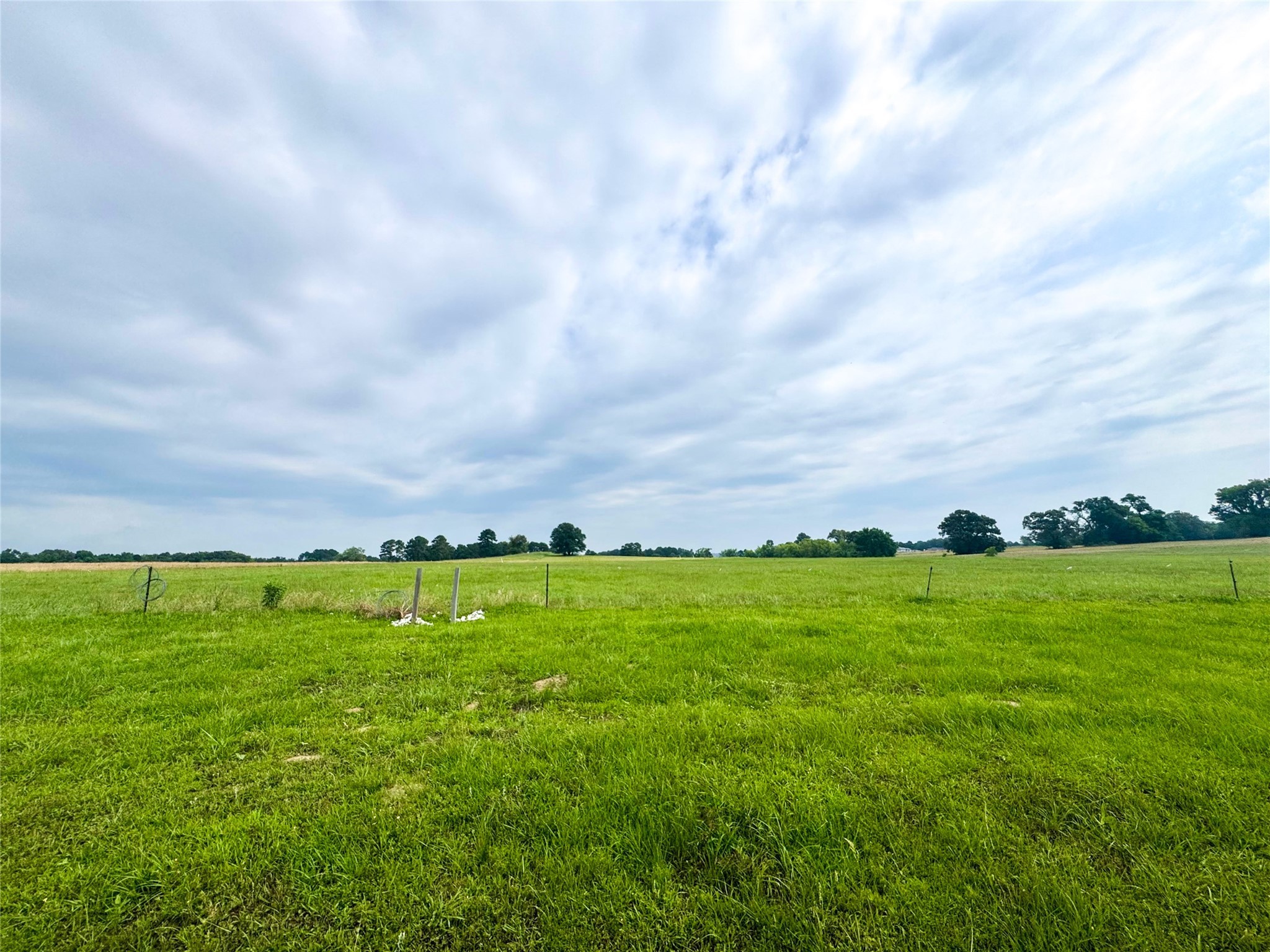 Lot 62 CR 2320