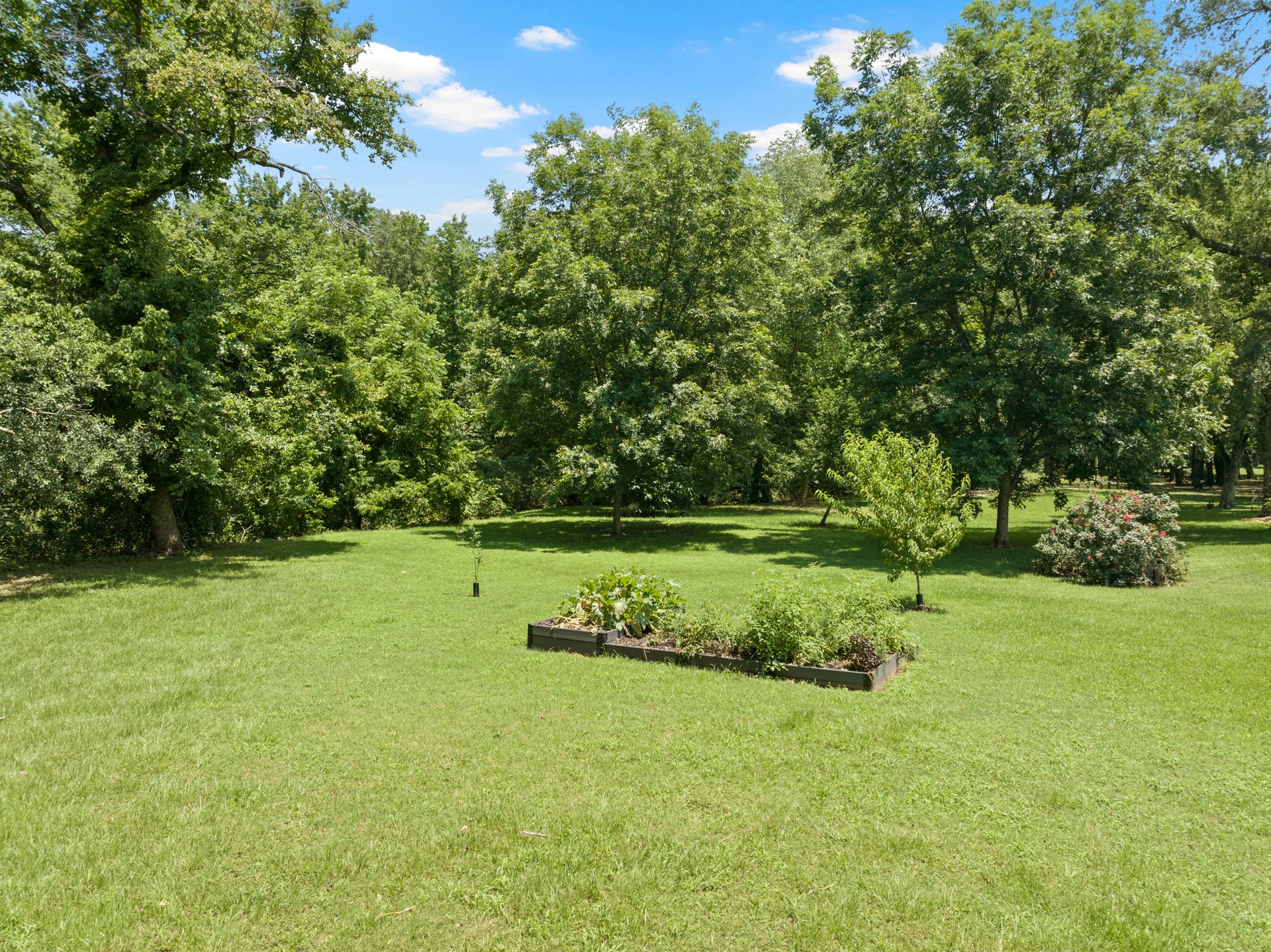 909 Holly Hill