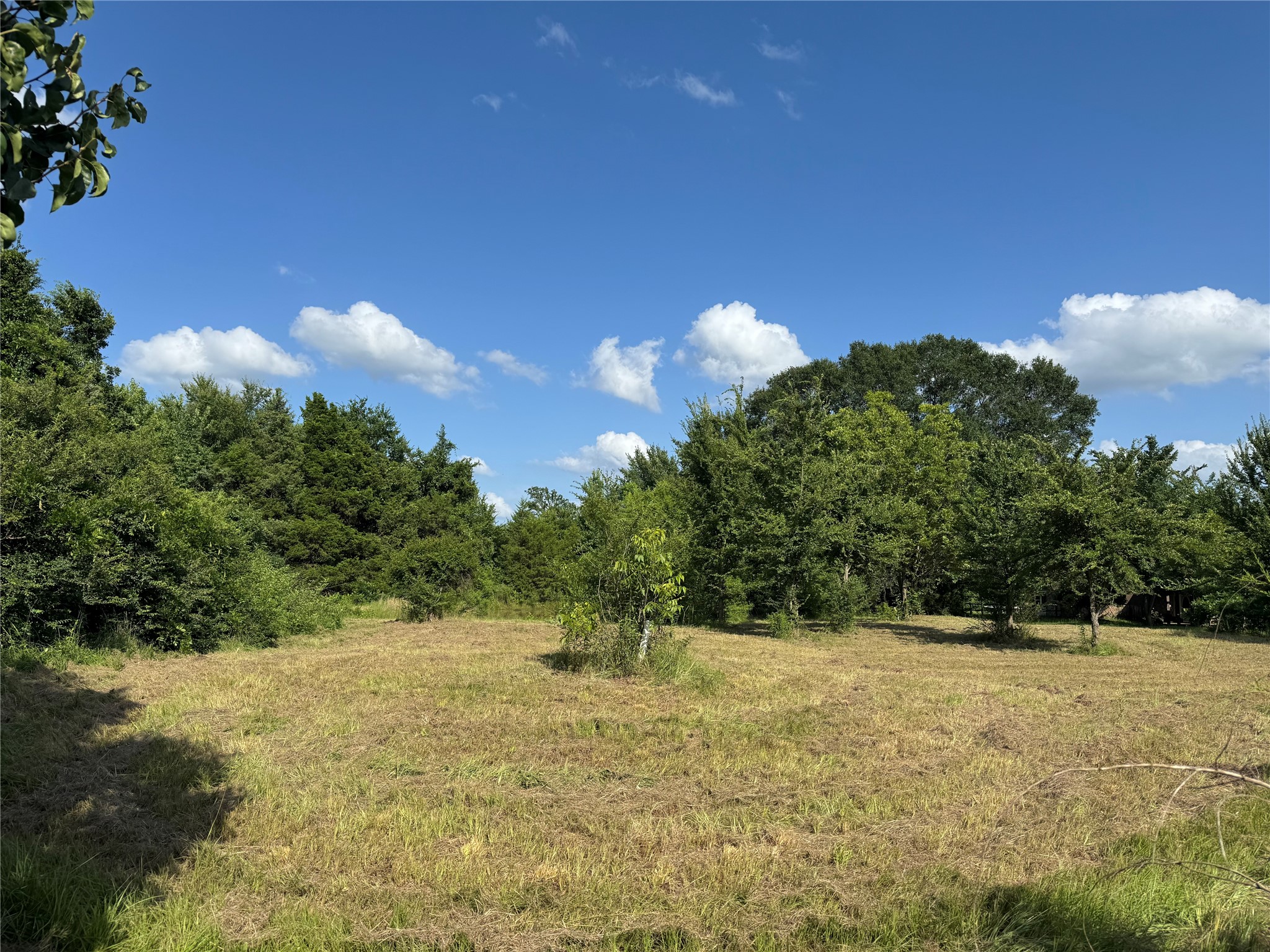 TBD County Road 3053