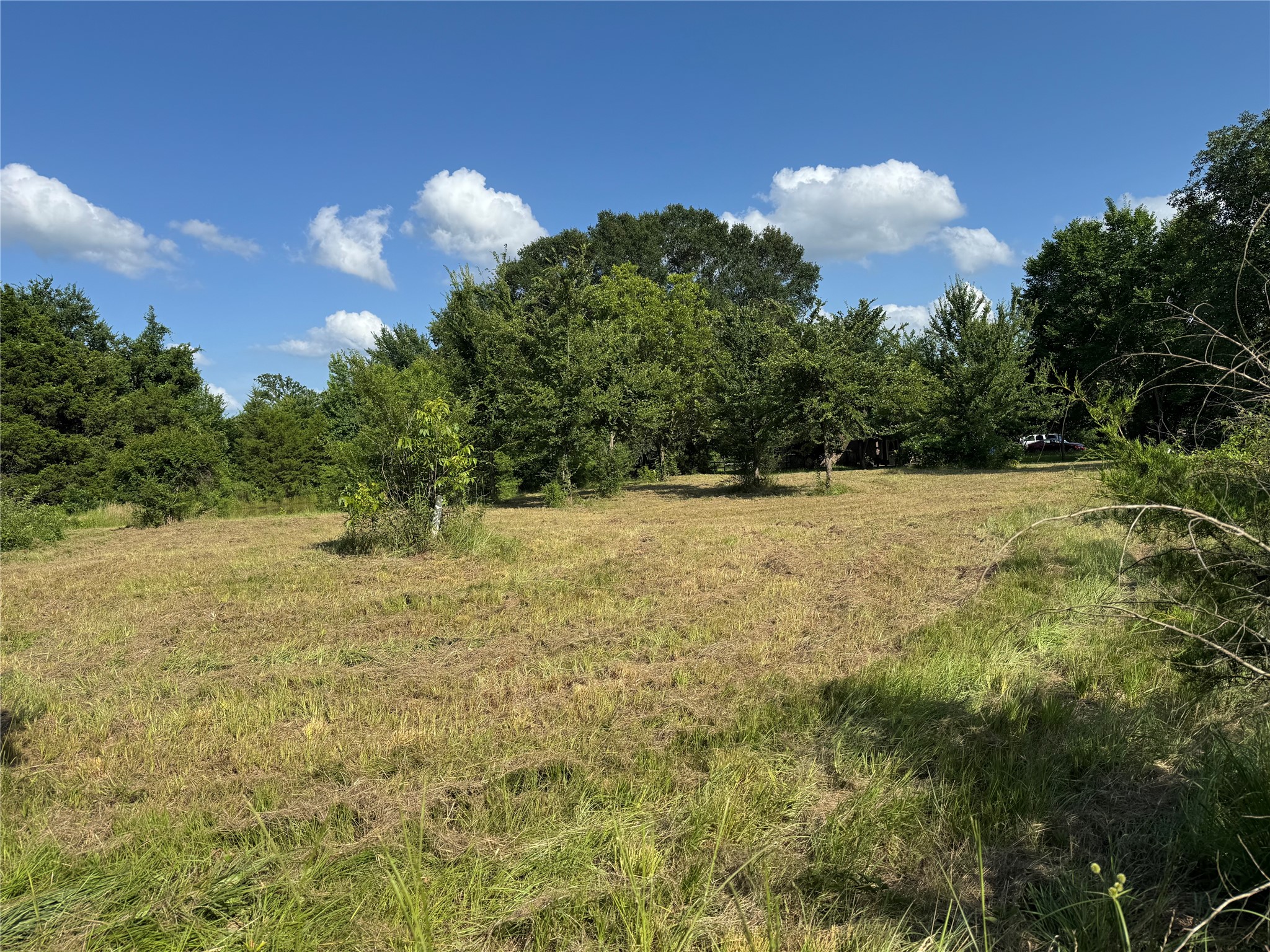 TBD County Road 3053