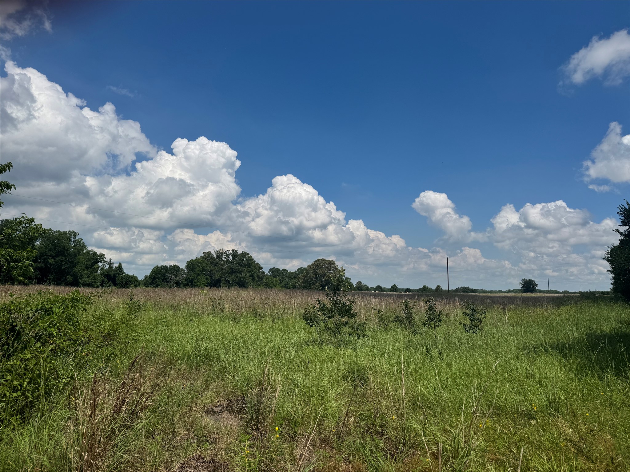 TBD County Road 3925