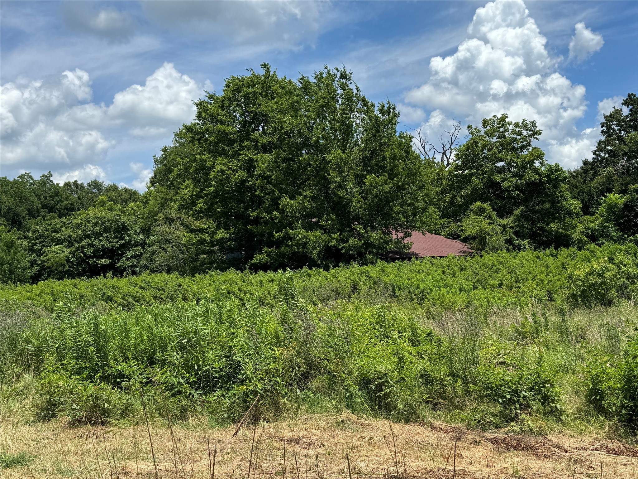 TBD County Road 3925