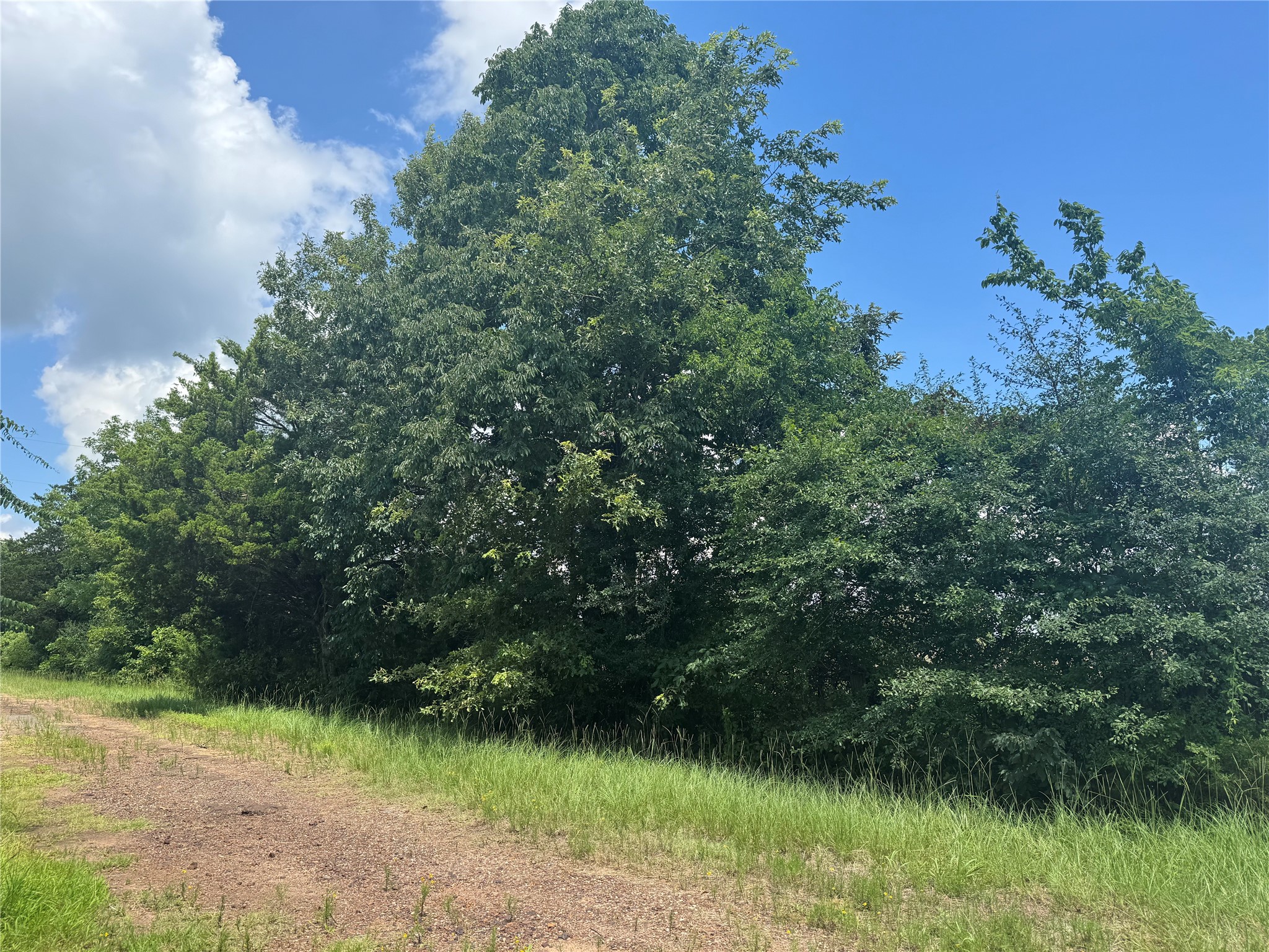 TBD County Road 3925