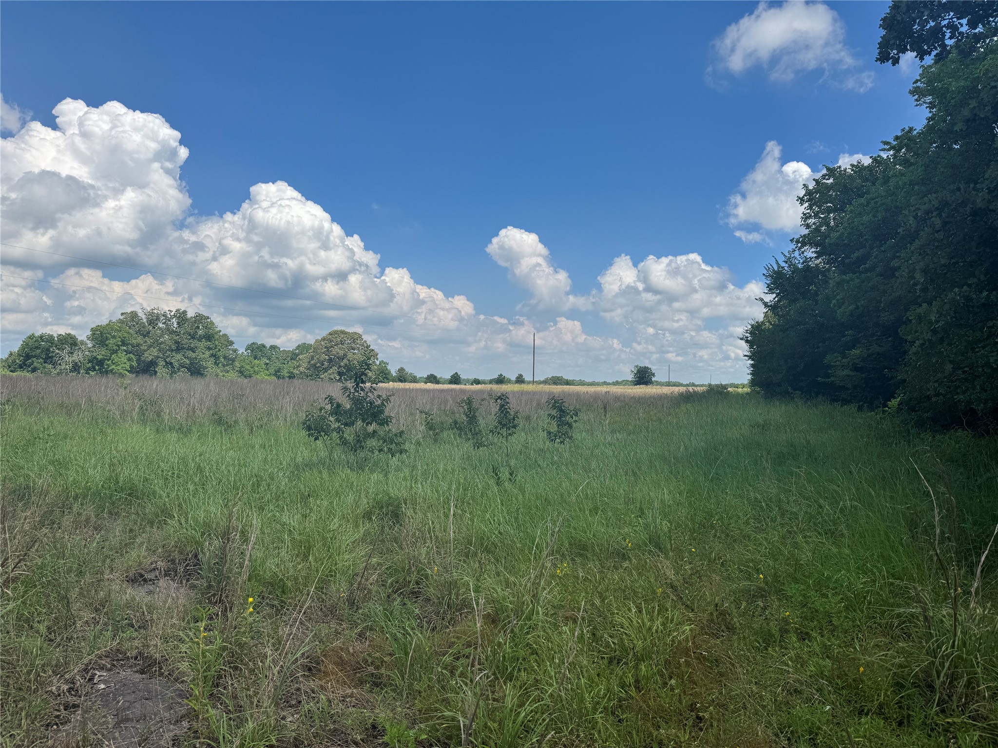 TBD County Road 3925