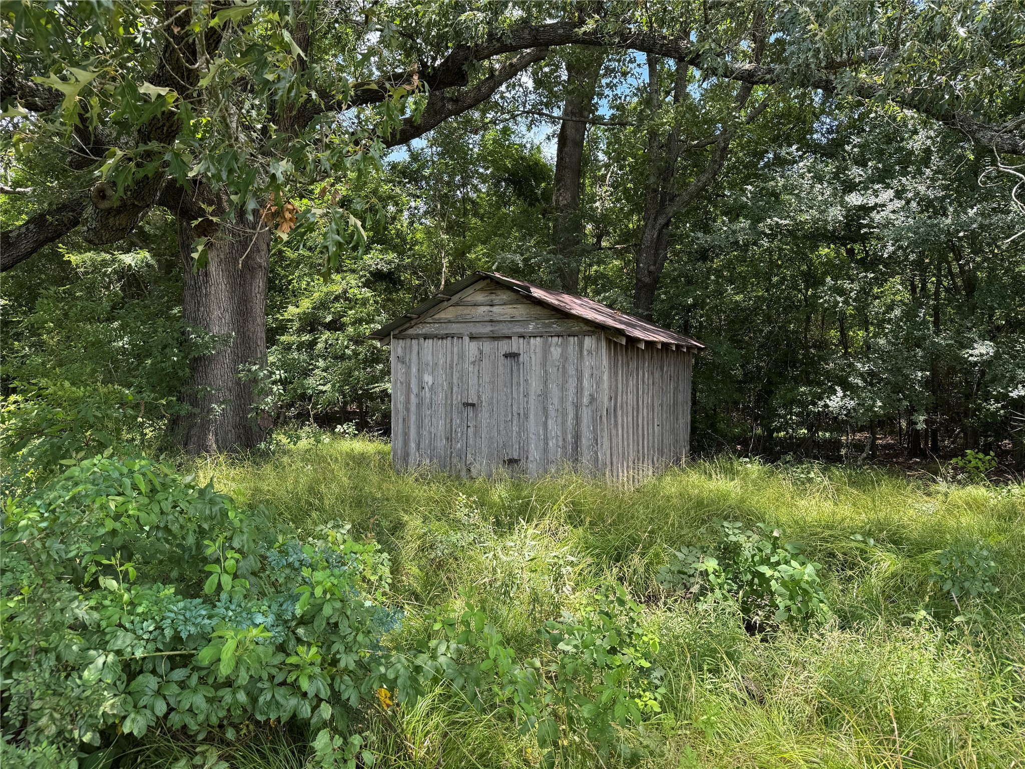 TBD County Road 3925